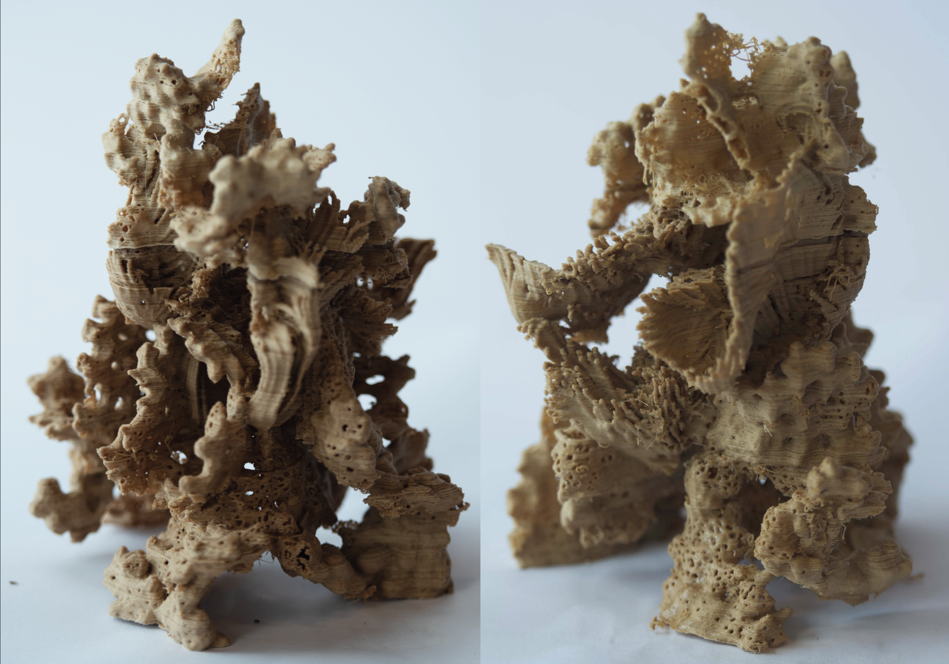 Screen Shot 2020-08-15 at 2.09.35 pm.png