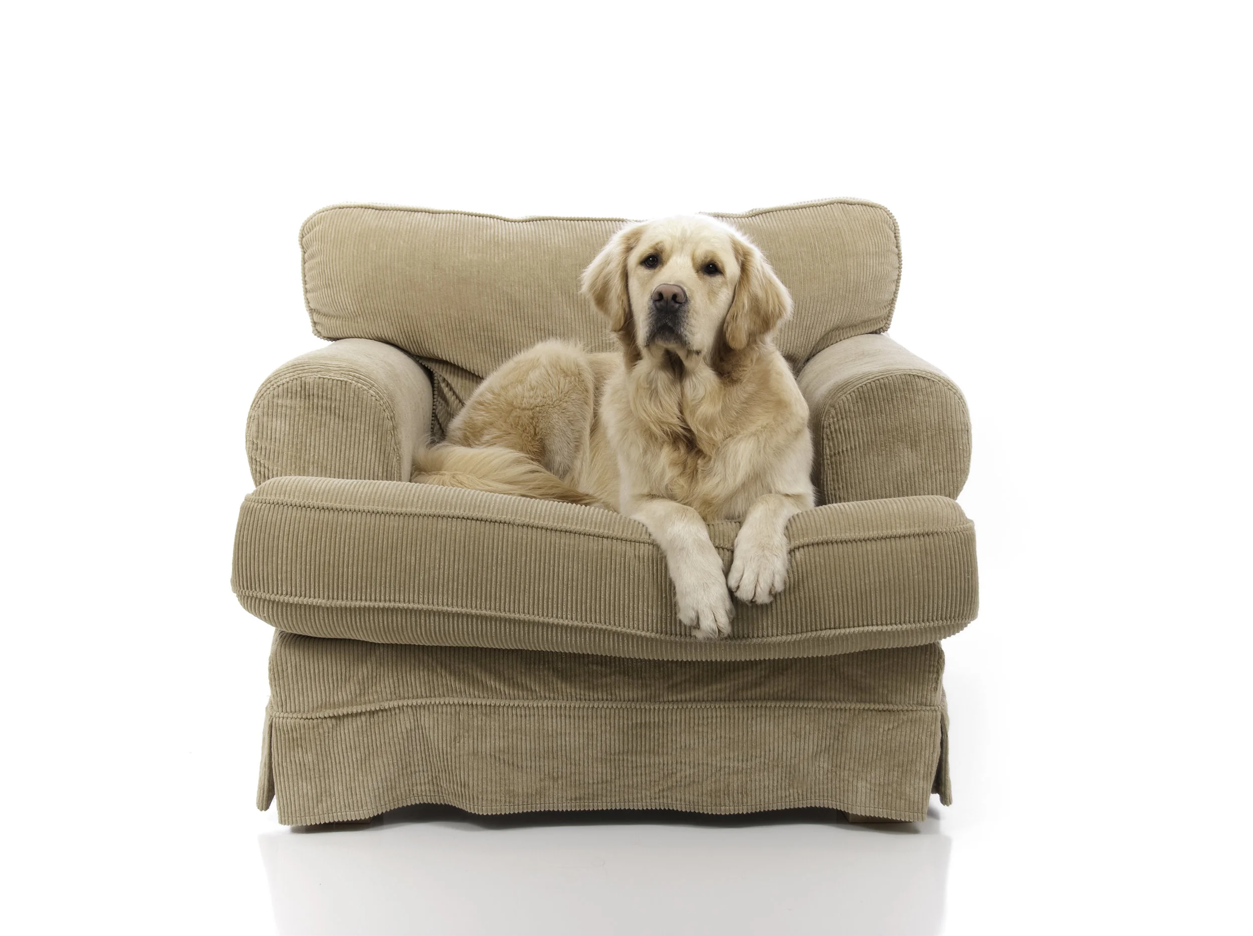 Murder Mysteries: Television's Comfort Food