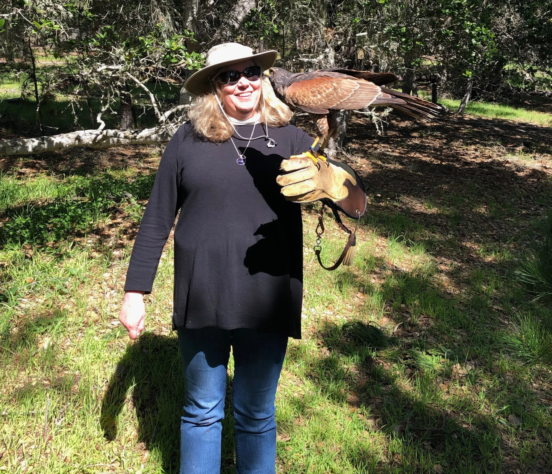 Take Five: An Interview with Mary Feliz