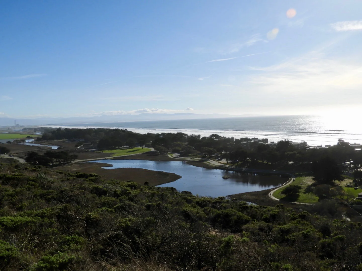 Pond, slough, and ocean locales make for great bird watching. Photo by Mary Feliz
