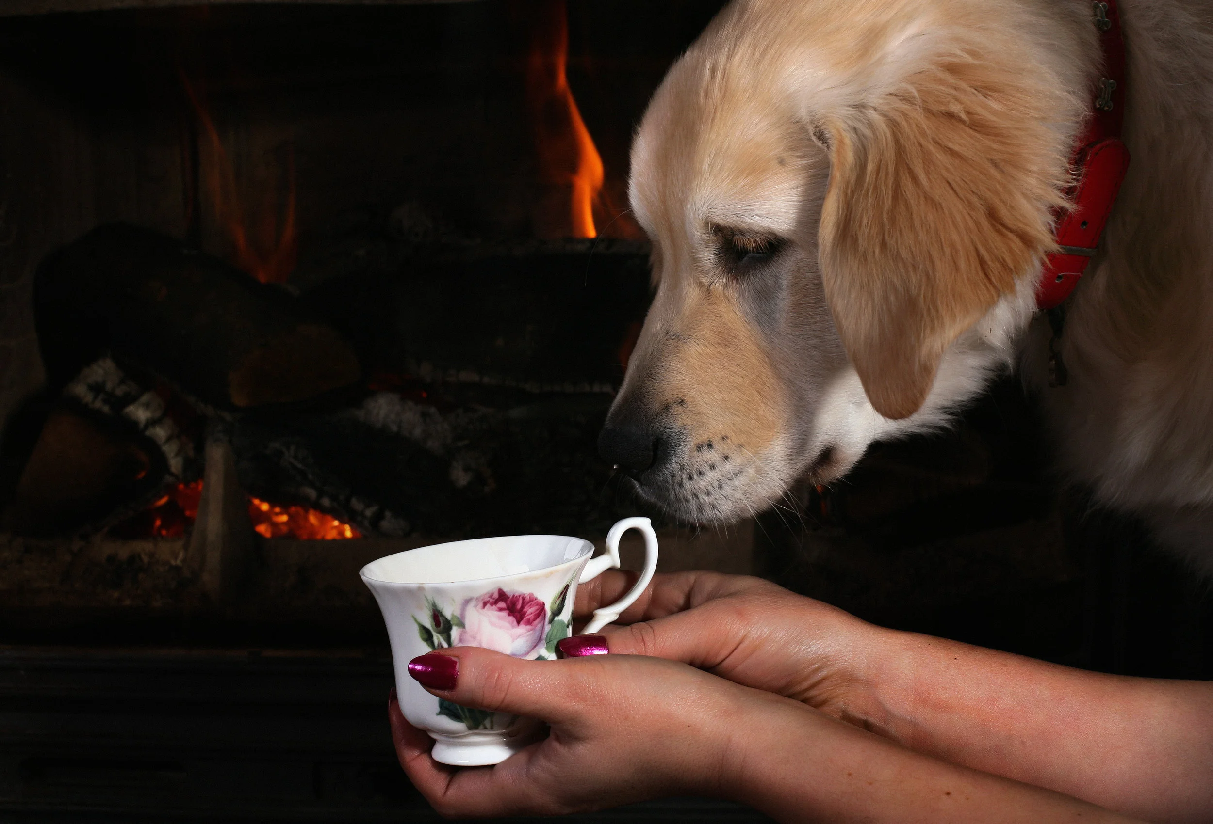 Genre-hopping for Cozy Mystery Fans