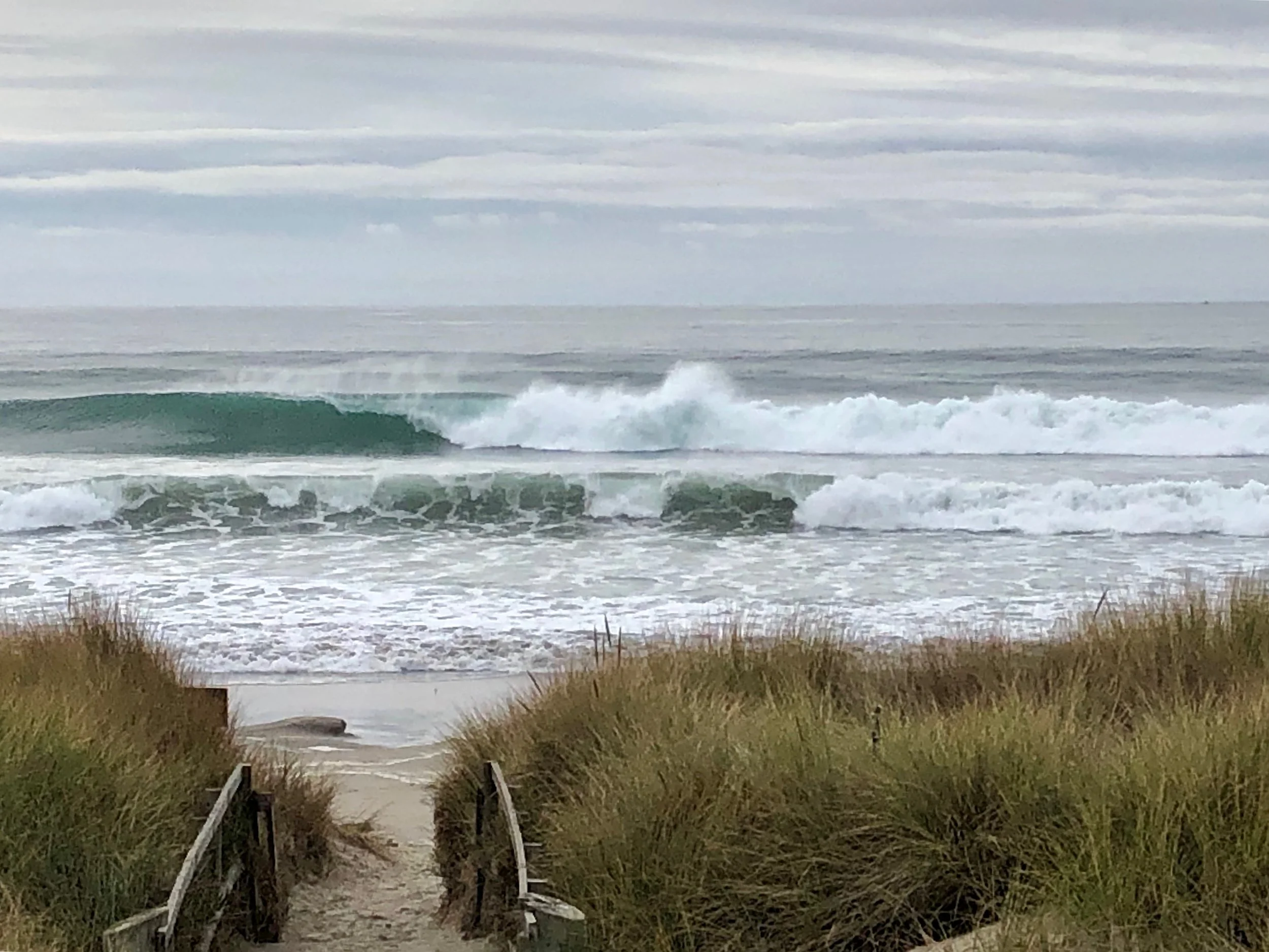 “The Neighborhood” and the setting for Cliff Hanger—the shore of Monterey Bay National Marine Sanctuary.