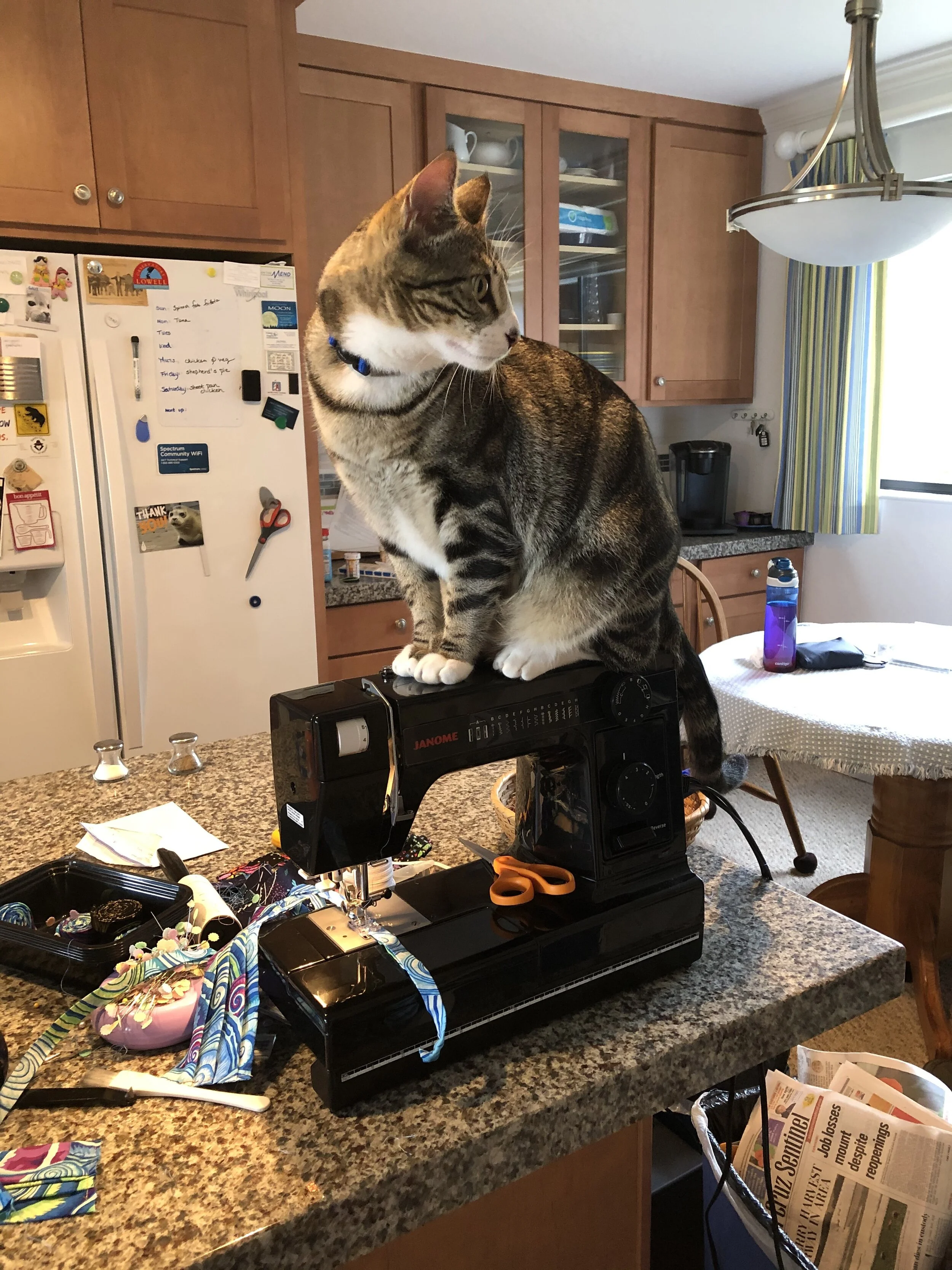 Interview with a sidekick: Belle