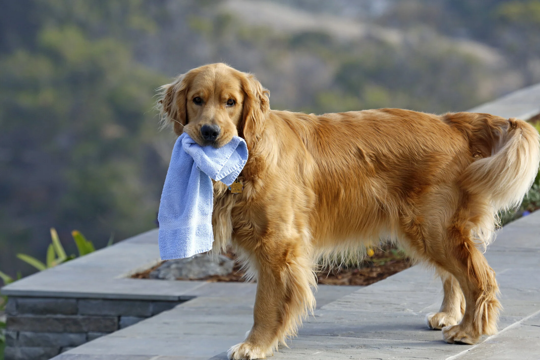 Interview with Maggie McDonald, Organizing Professional and Amateur Sleuth