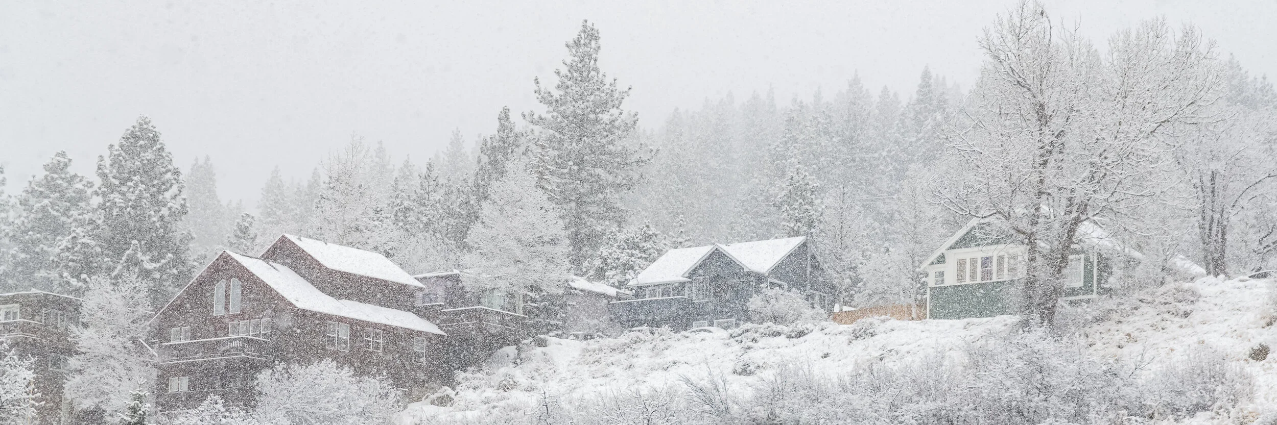 7 Questions for Cozy Mystery Writer Mary Feliz