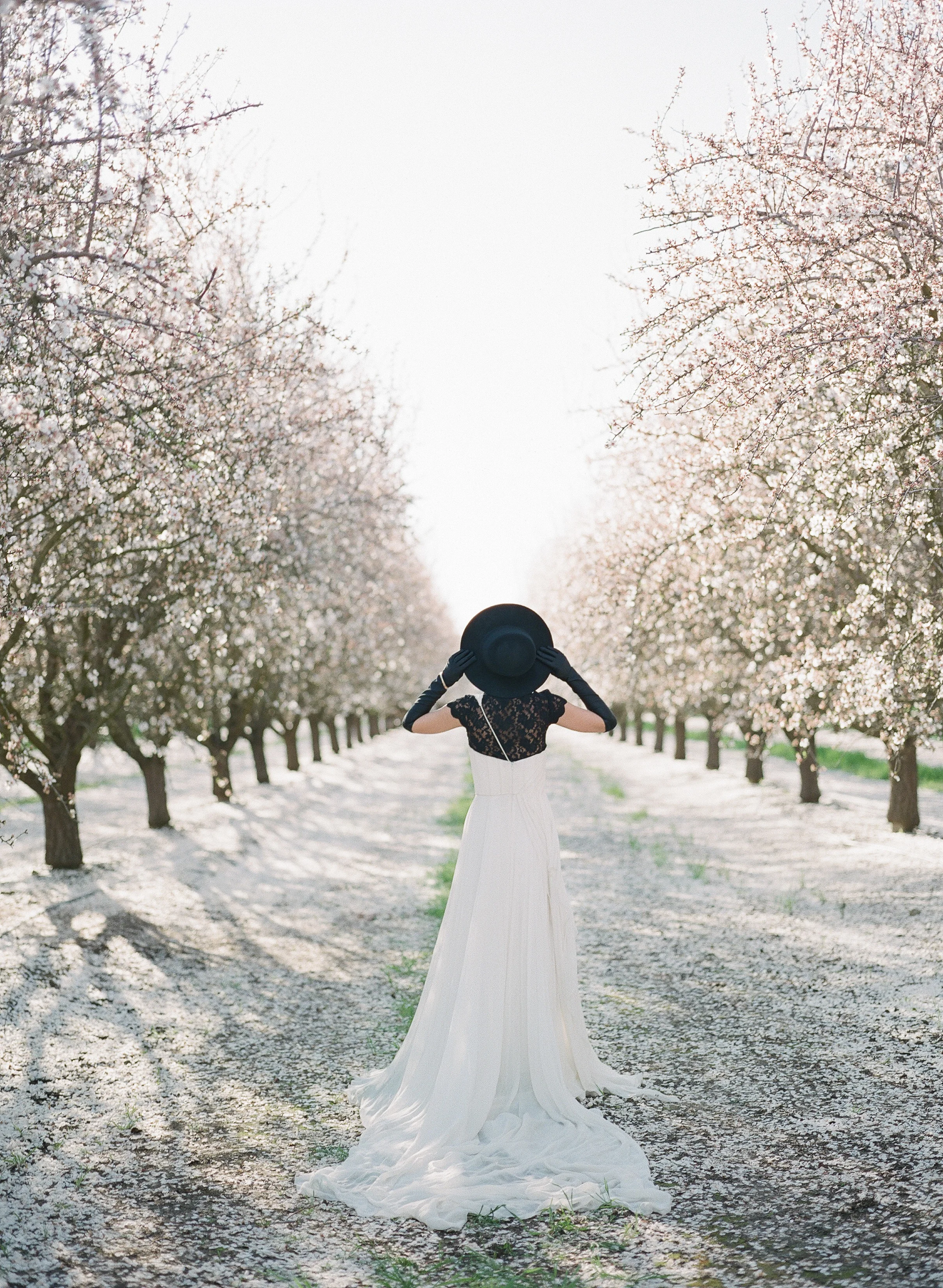 JEREMY CHOU PHOTOGRAPHY - ALMOND BLOSSOM-0103.jpg