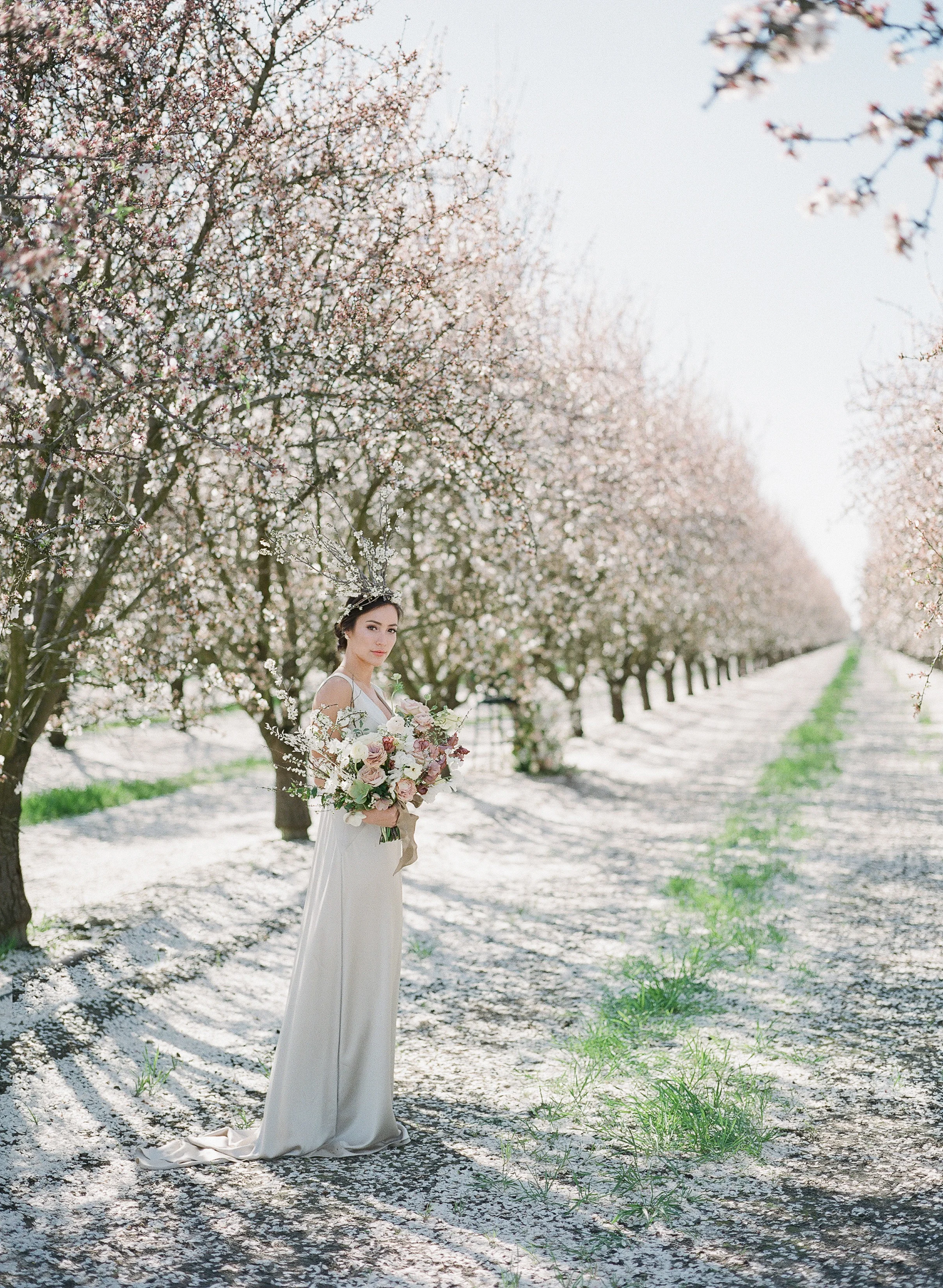 JEREMY CHOU PHOTOGRAPHY - ALMOND BLOSSOM-0095.jpg