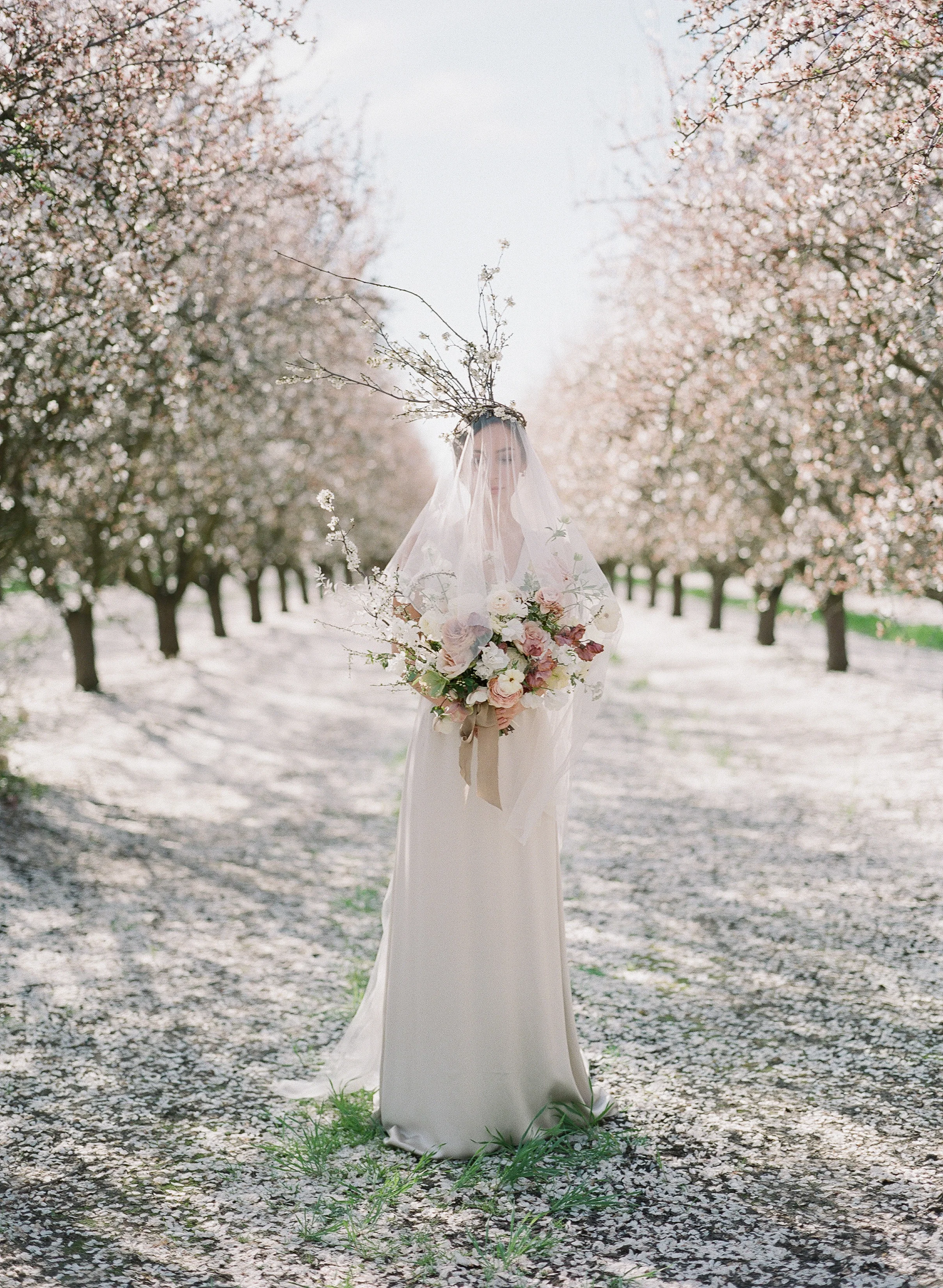 JEREMY CHOU PHOTOGRAPHY - ALMOND BLOSSOM-0015.jpg