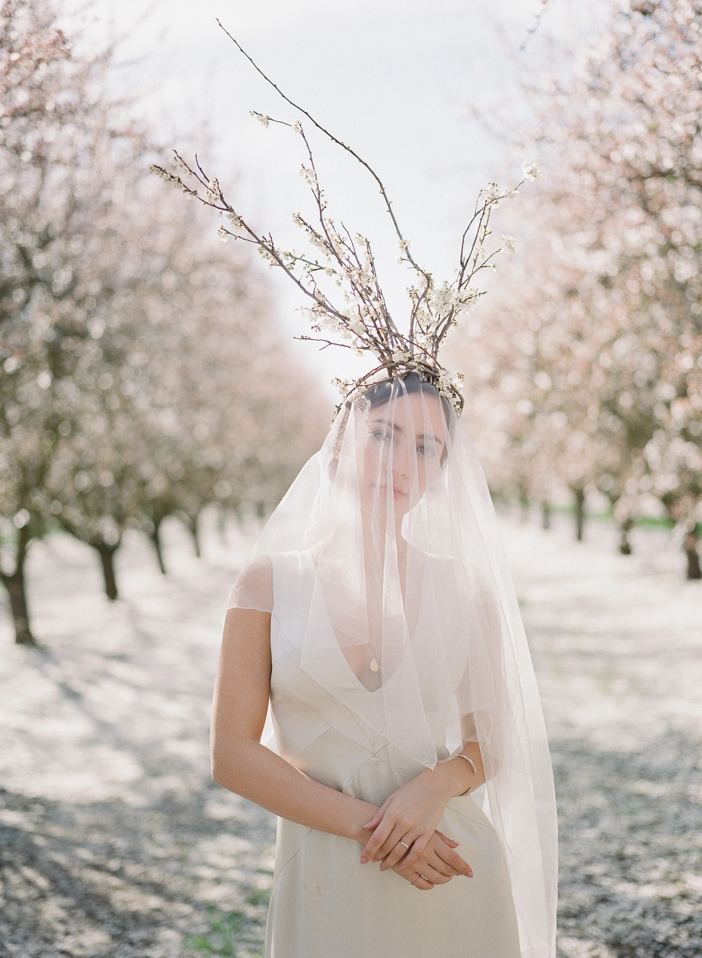 JEREMY CHOU PHOTOGRAPHY - ALMOND BLOSSOM-0014.jpg
