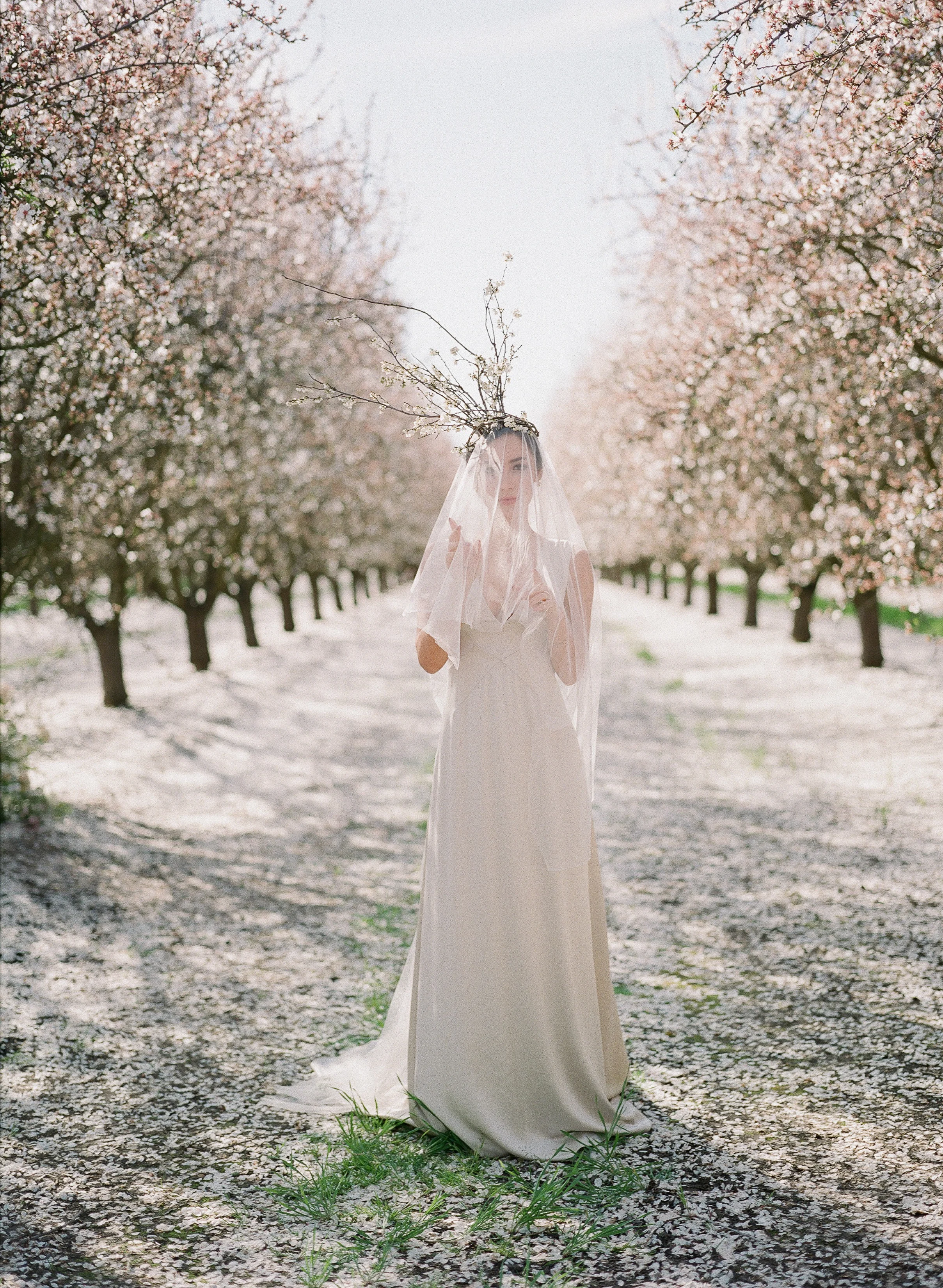 JEREMY CHOU PHOTOGRAPHY - ALMOND BLOSSOM-0011.jpg