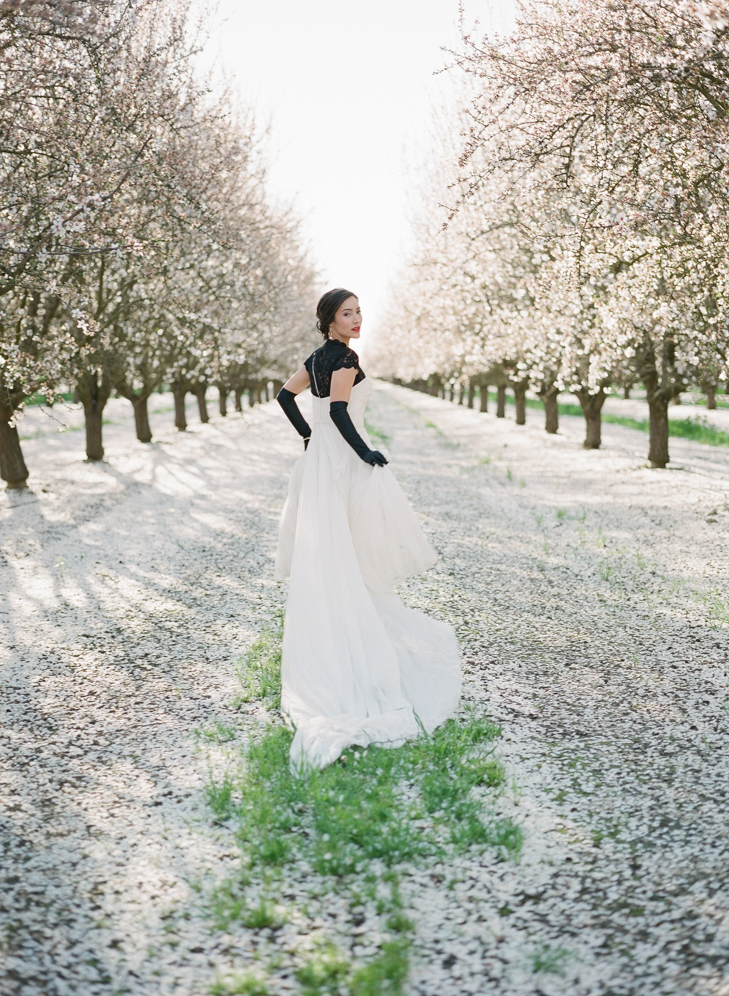 JEREMY CHOU PHOTOGRAPHY - ALMOND BLOSSOM-0056.jpg