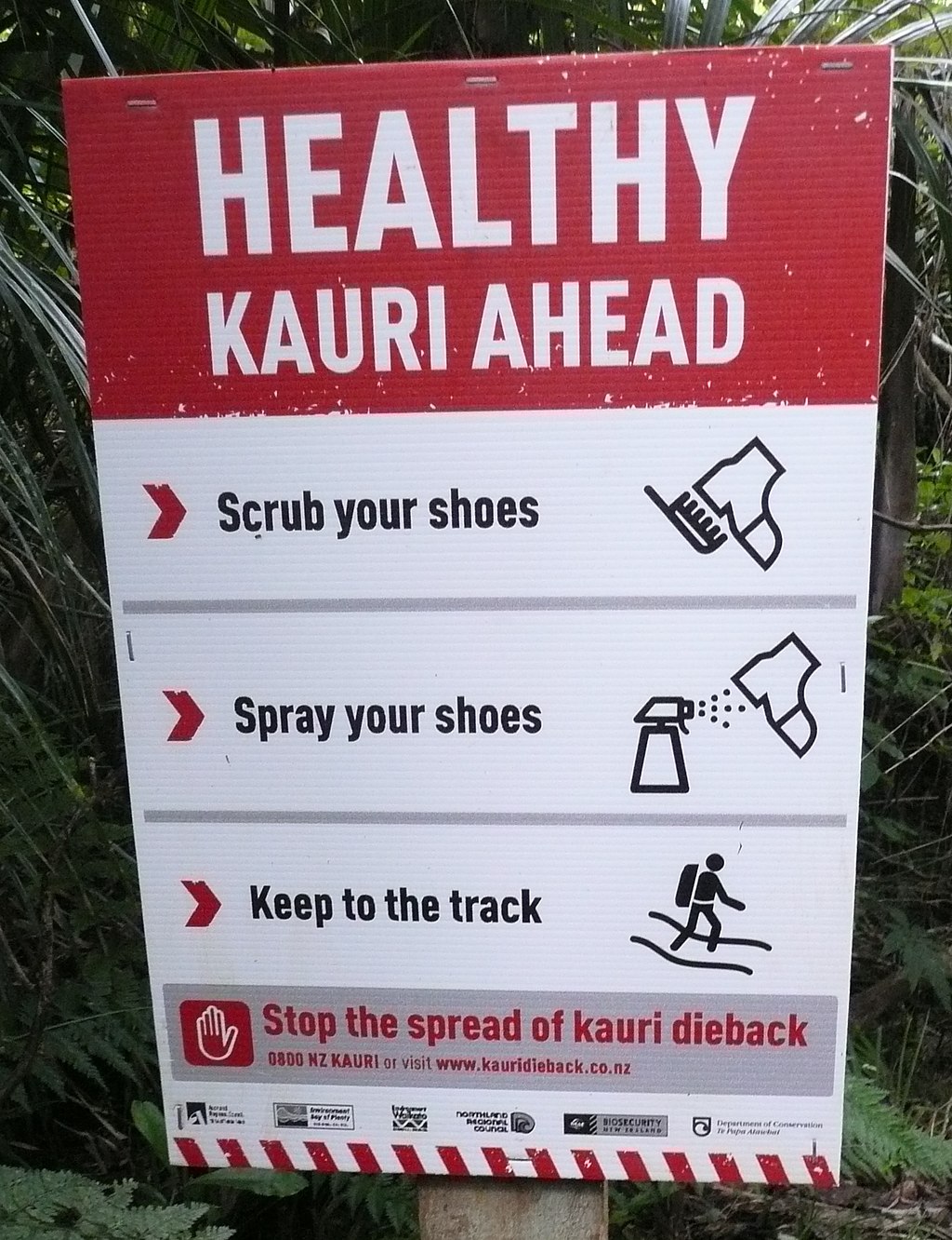 1024px-Kauri_dieback_sign.jpg