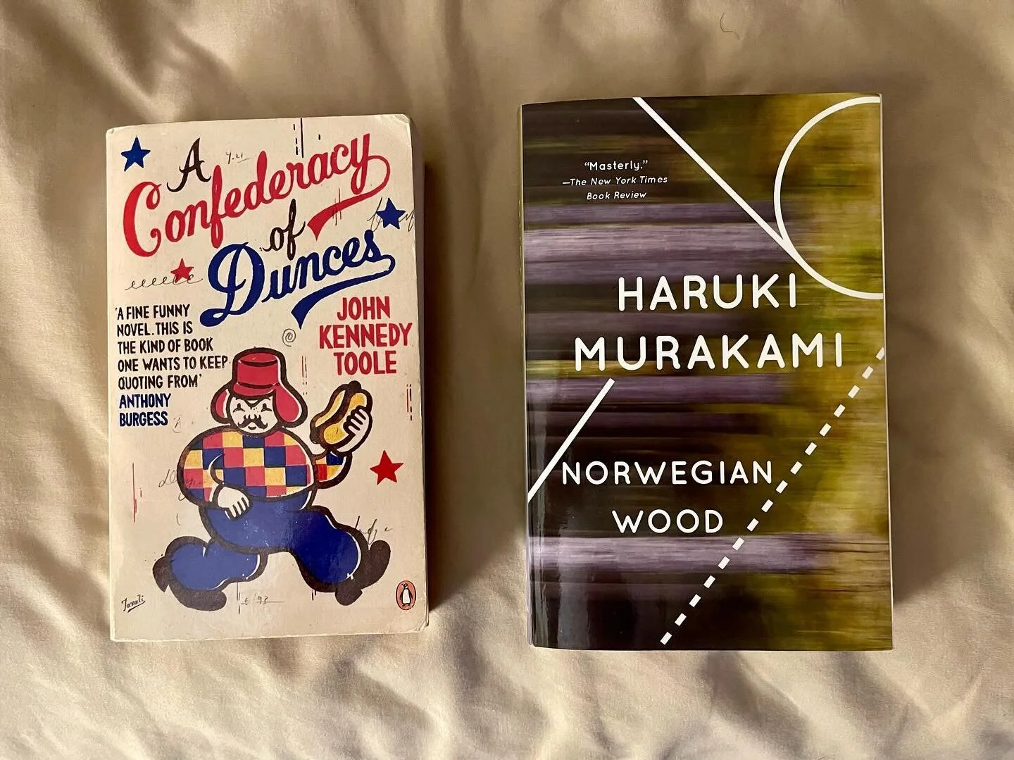 These two books couldn&rsquo;t be more diametrically opposed in content, tone, or writing style. But both reminded me how much I love reading, and ima actively make time for more. 
The Confederacy of Dunces is hilarious, I won&rsquo;t give away the p