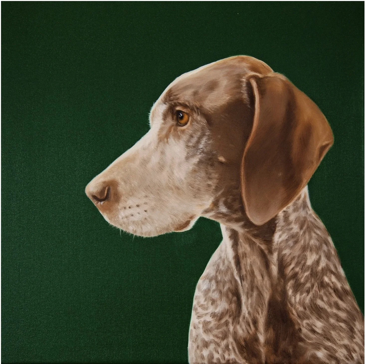 BEST IN SHOW 2023 - 2026