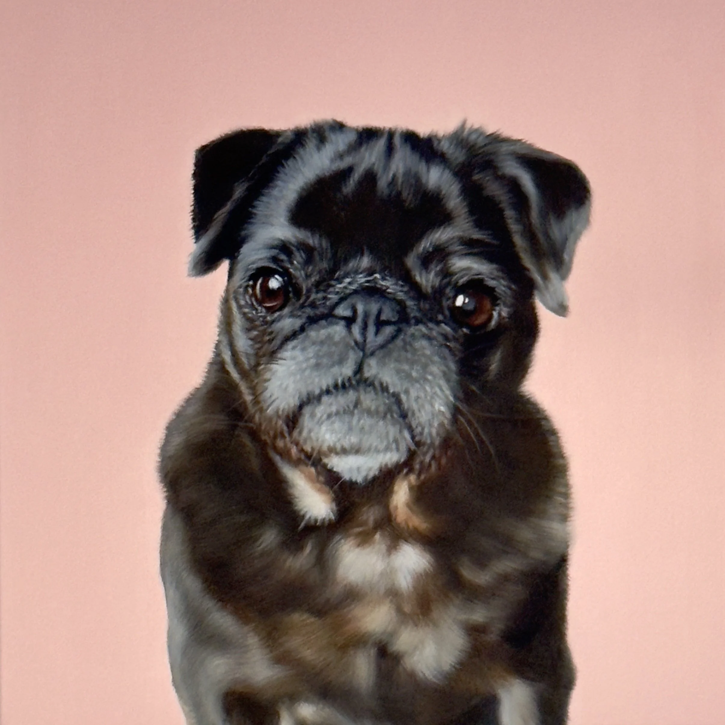 Bella
Oil on canvas, 60x60cm
2025