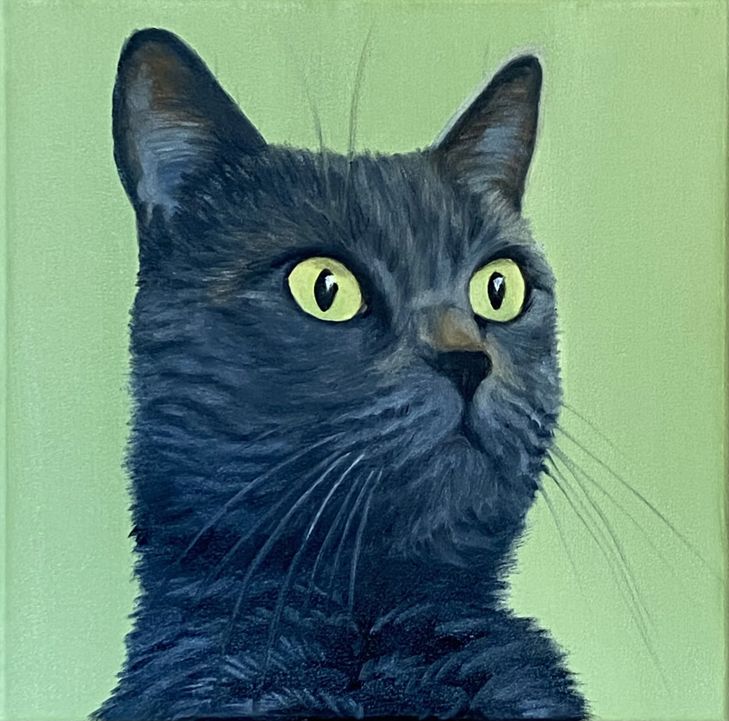 Dottie
Oil on canvas, 40x40cm
2025