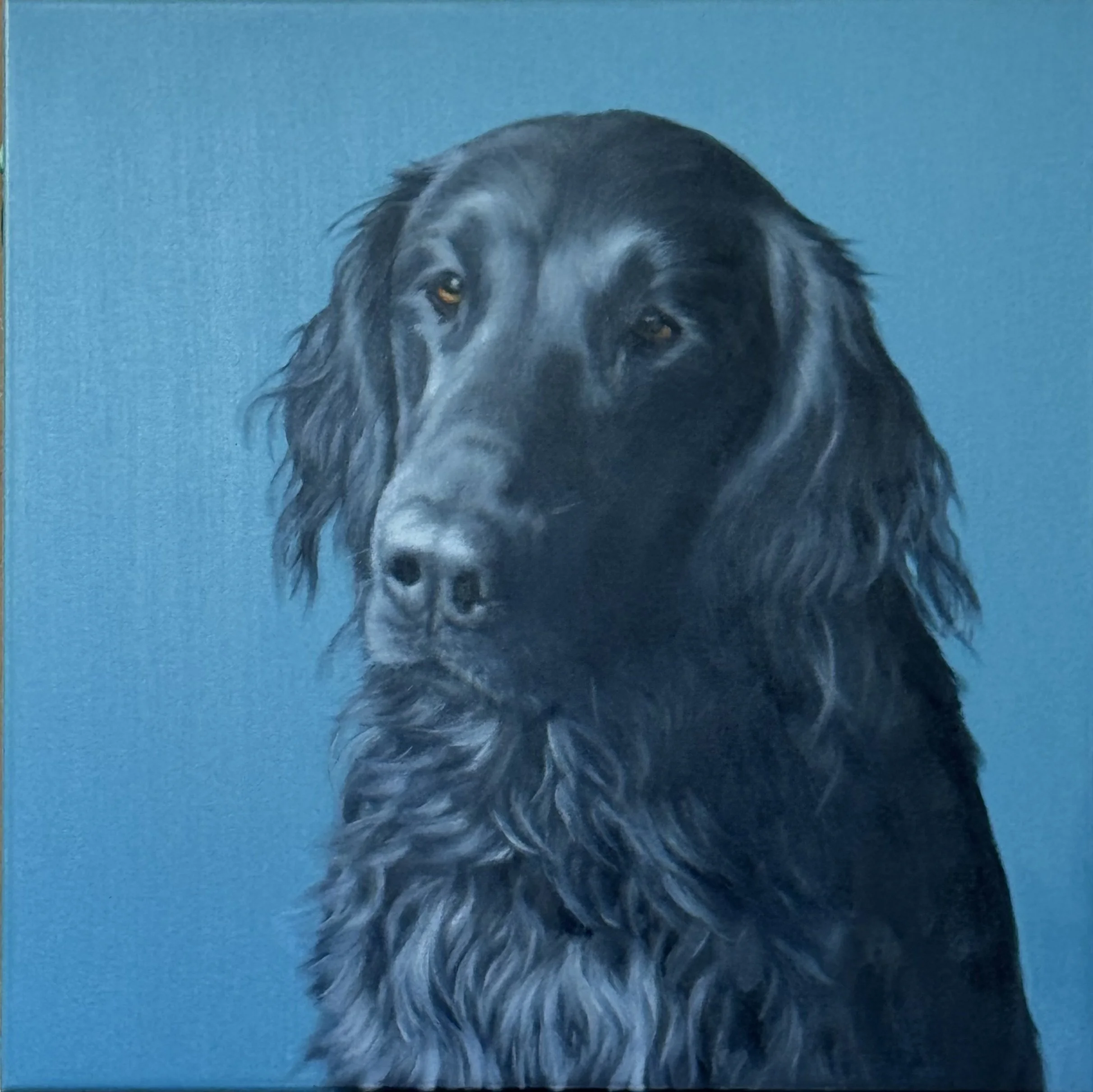 Bobbie
Oil on canvas, 60x60cm
2025