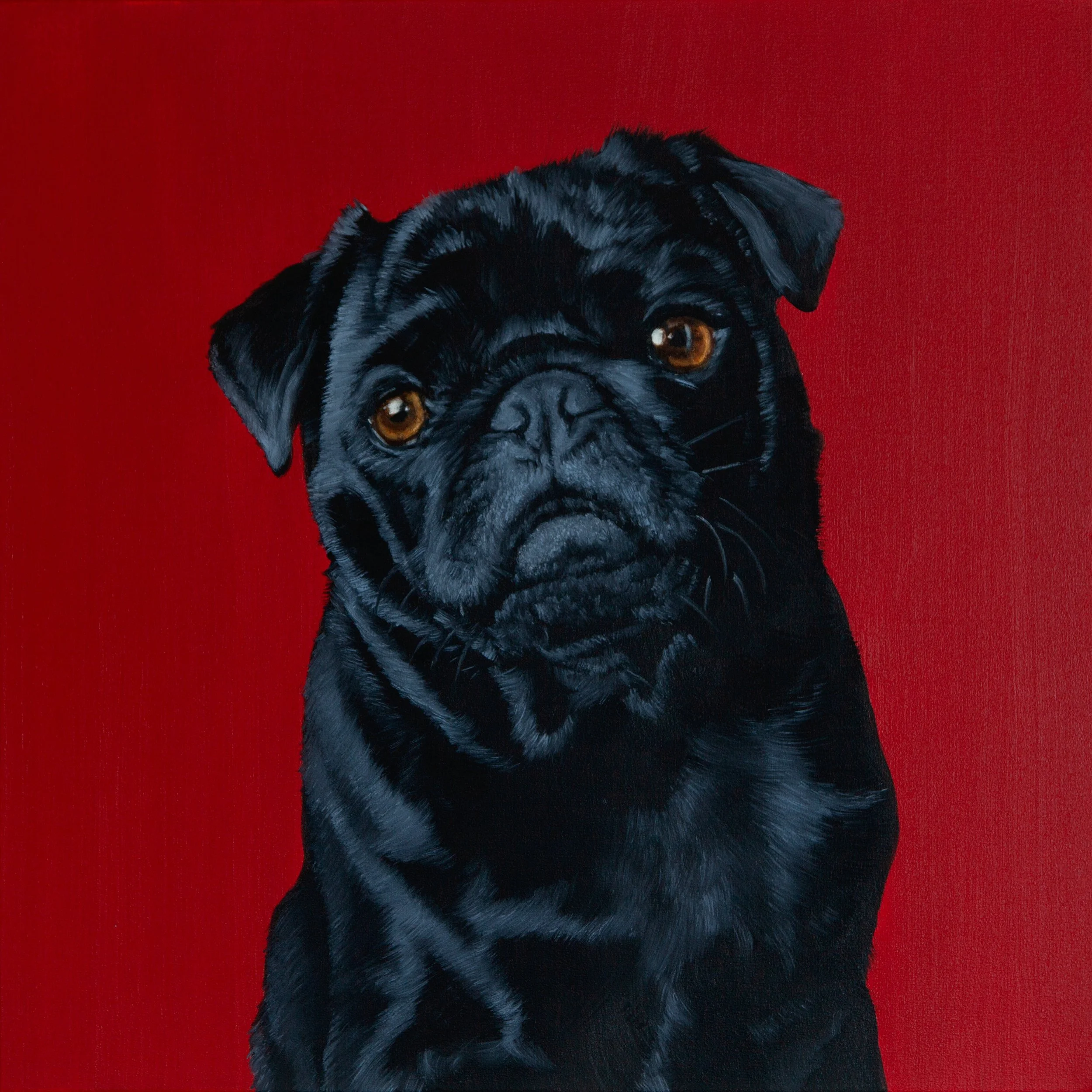 Sam
Oil on canvas, 60x60cm
2025