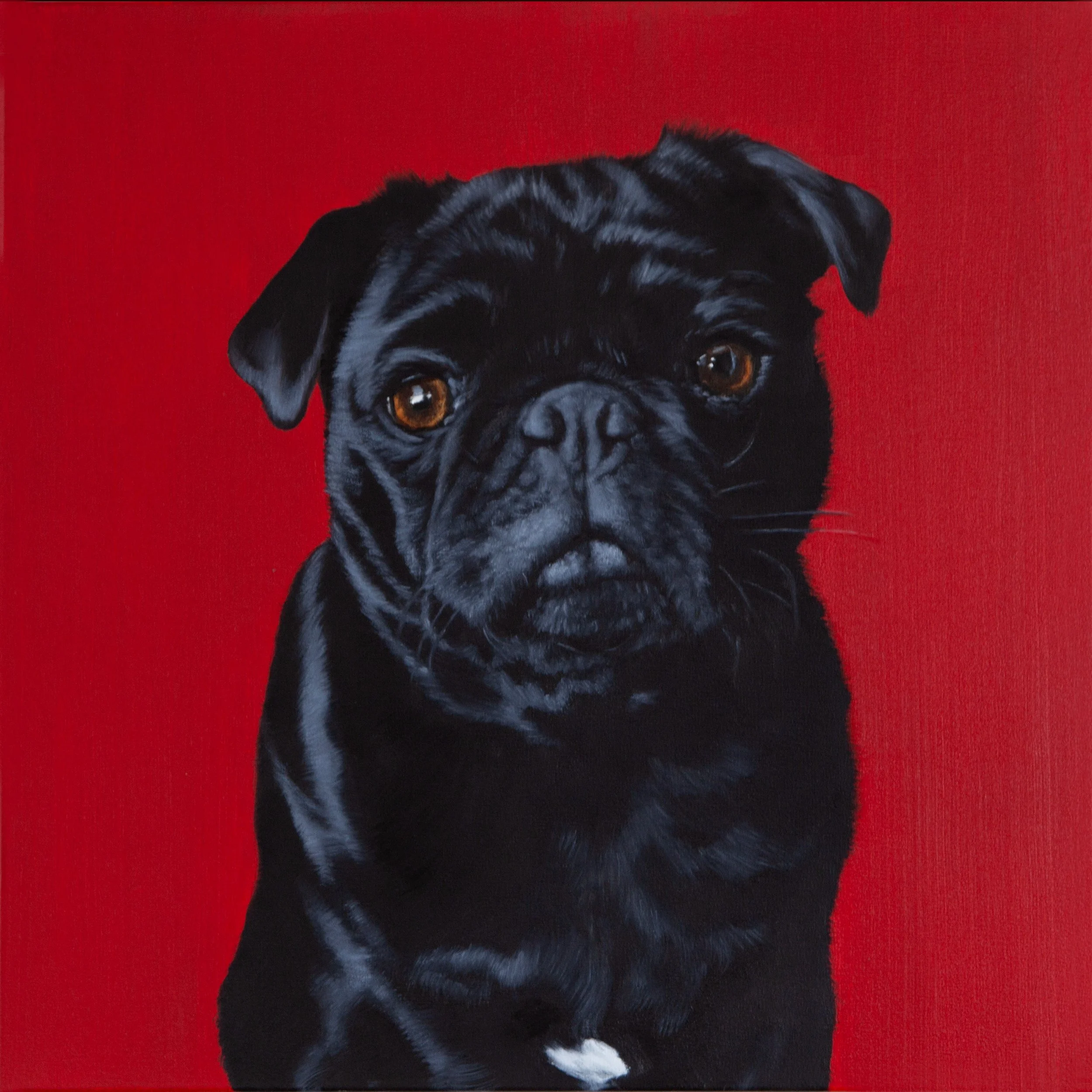 Neddy
Oil on canvas, 60x60cm
2025
