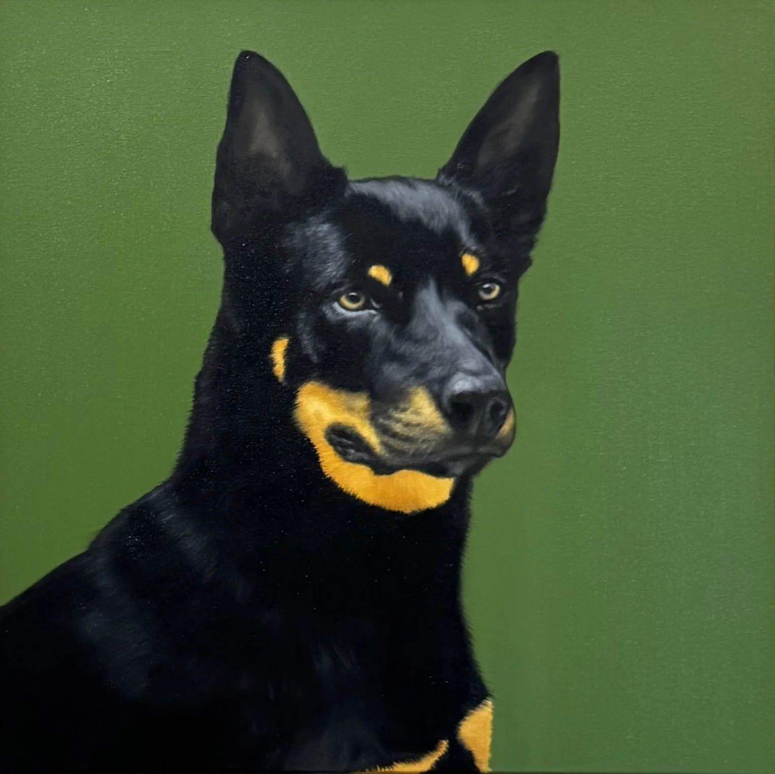 Rusty
Oil on canvas, 60x60cm
2025
