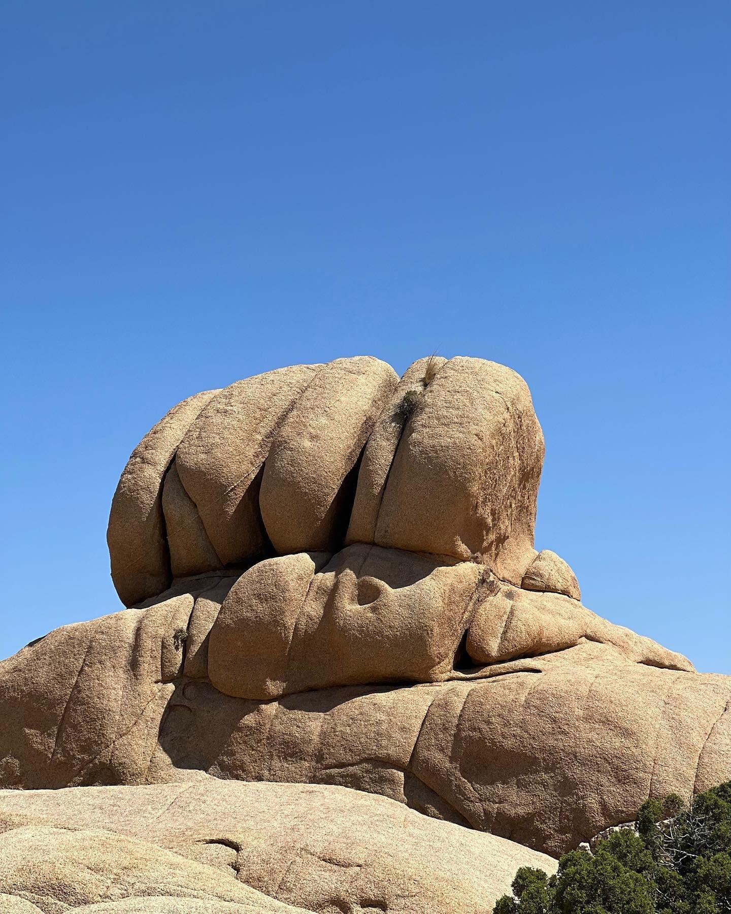 Fist Bump! 👊🏽 
Happy Birthday @joshuatreenps 🎉