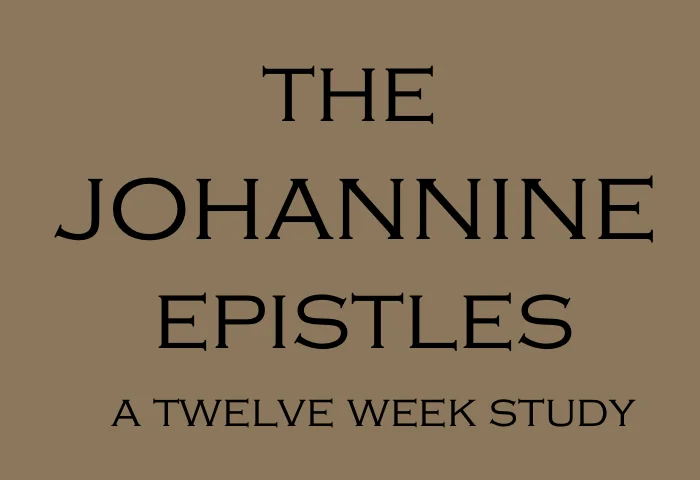 The Johannine Epistles: A Twelve Week Study