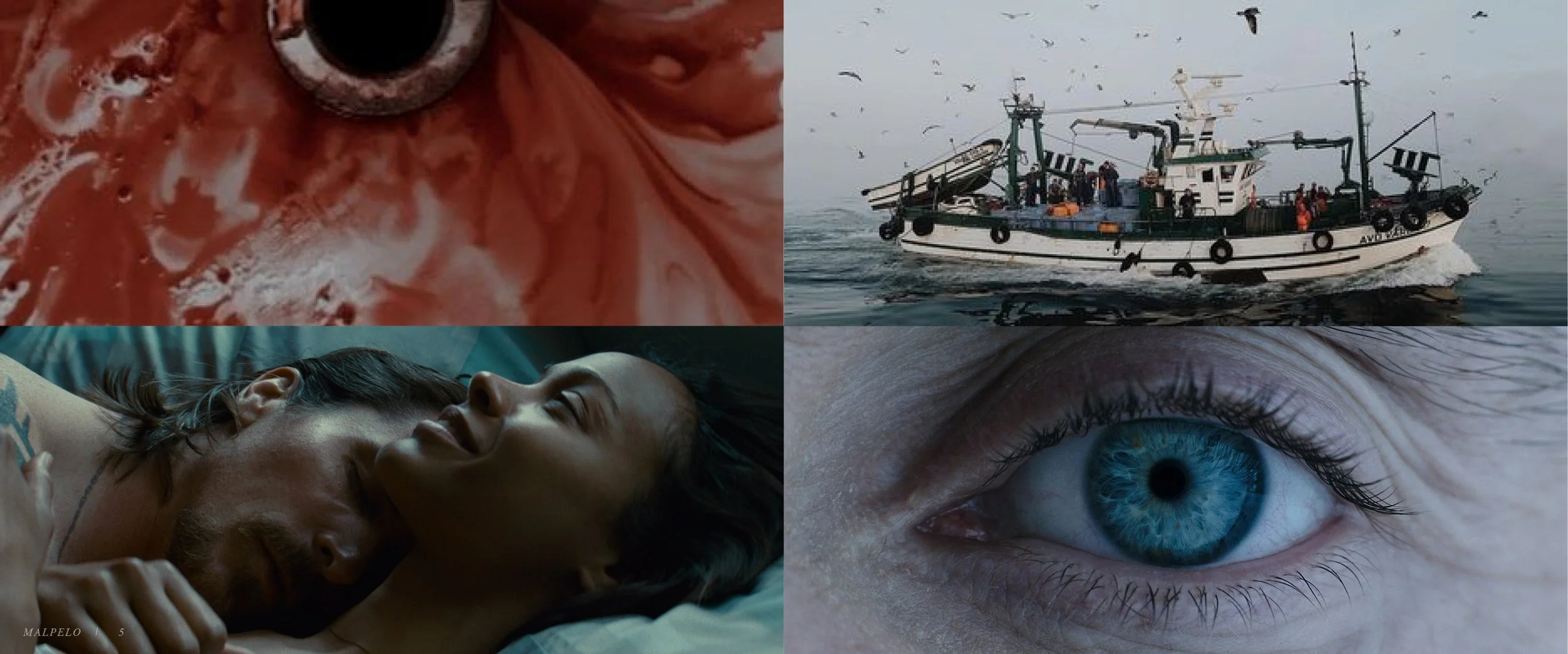 MALPELO_GENERIC5.jpg