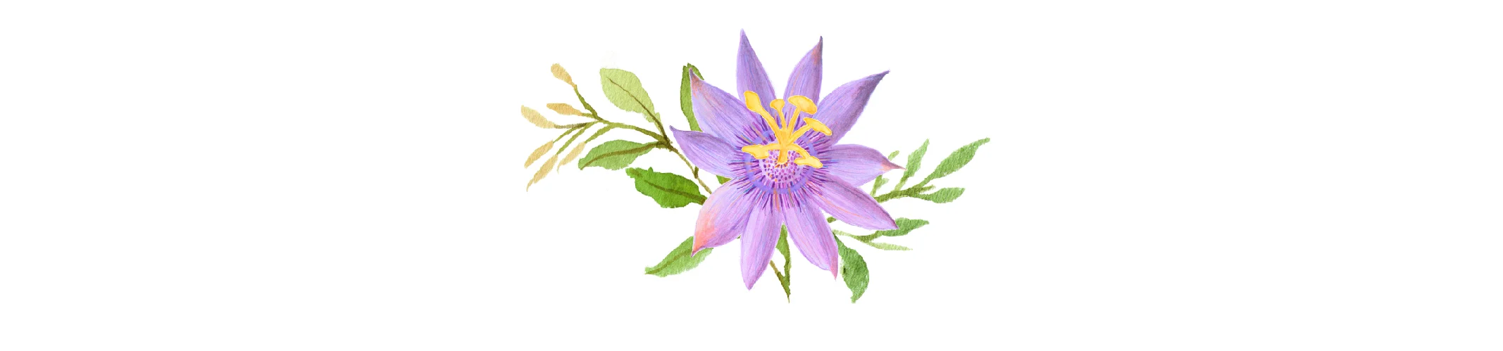 Courtney Dixon Logo Image flower only.jpg