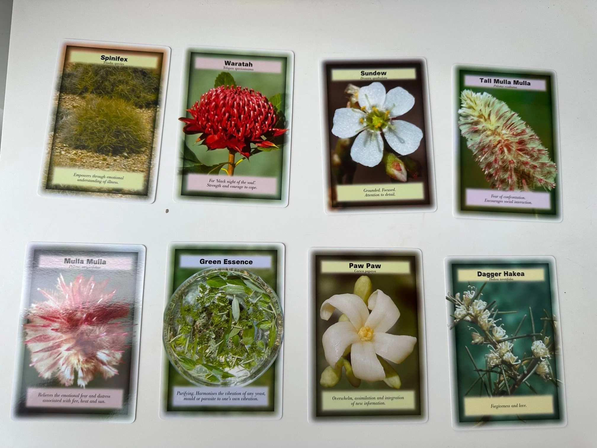 Australian Bush Flower Essences — JSE Health