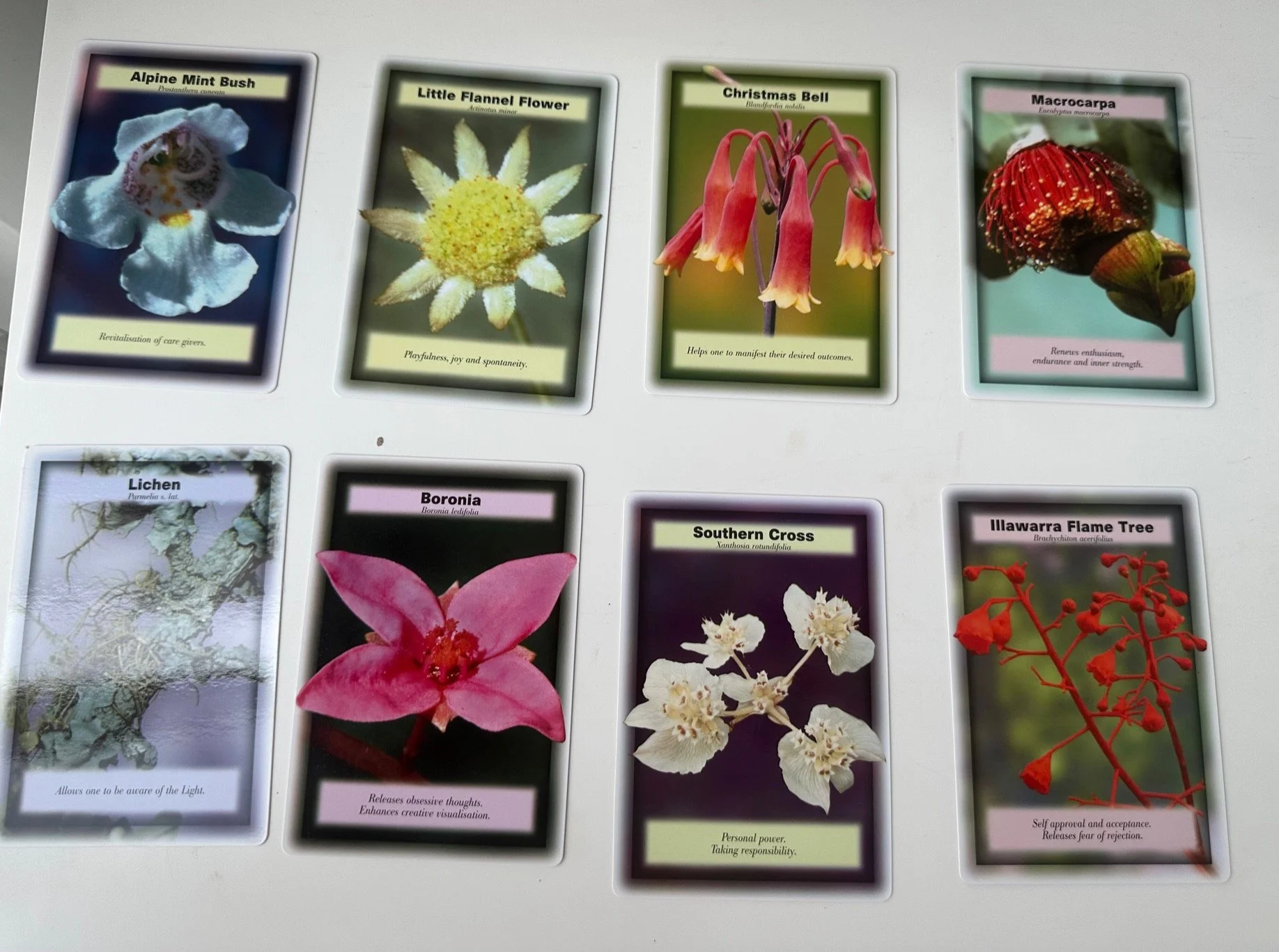 Australian Bush Flower Essences — JSE Health