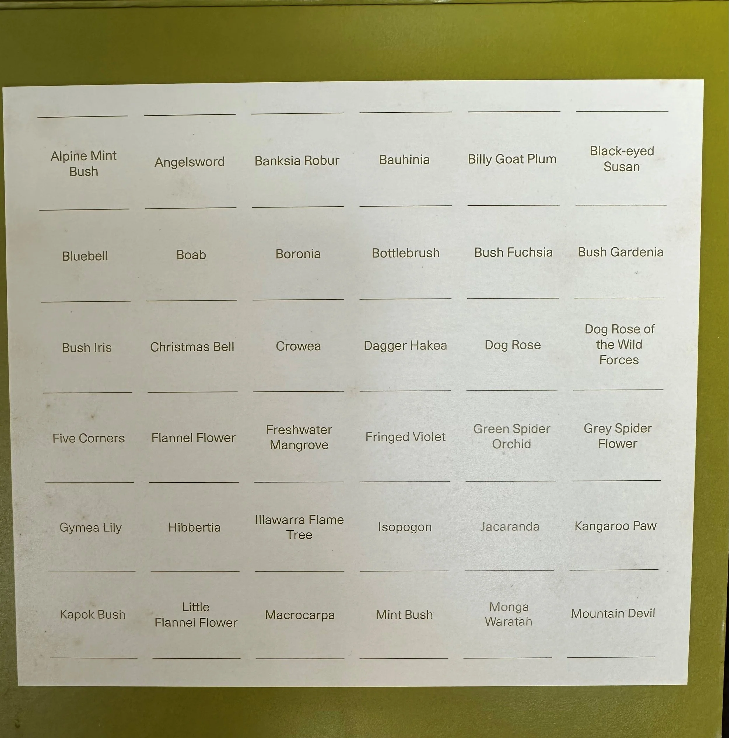 Australian Bush Flower Essences — JSE Health