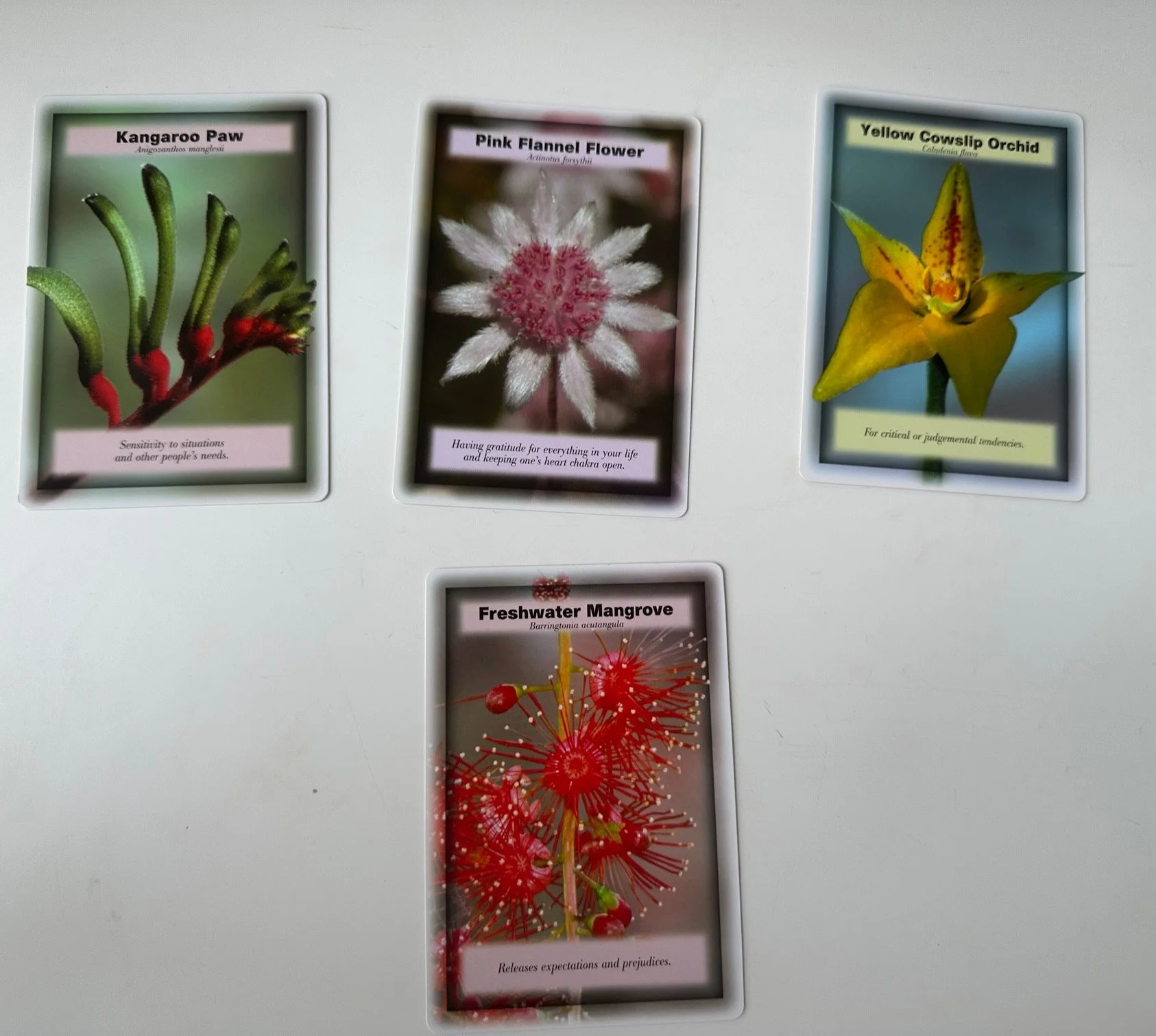 Australian Bush Flower Essences — JSE Health