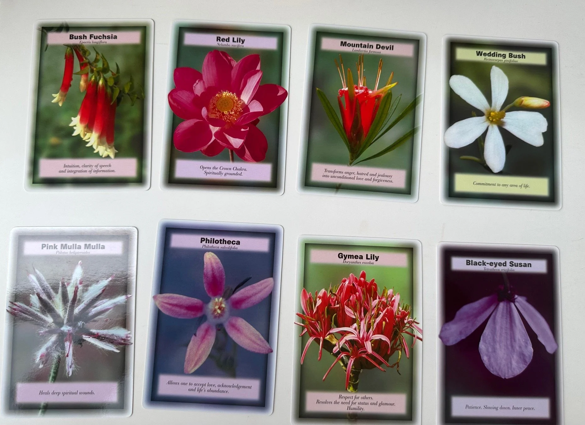 Australian Bush Flower Essences — JSE Health