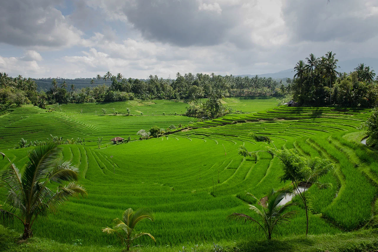 nre-expertise-rural-dev-1.jpg