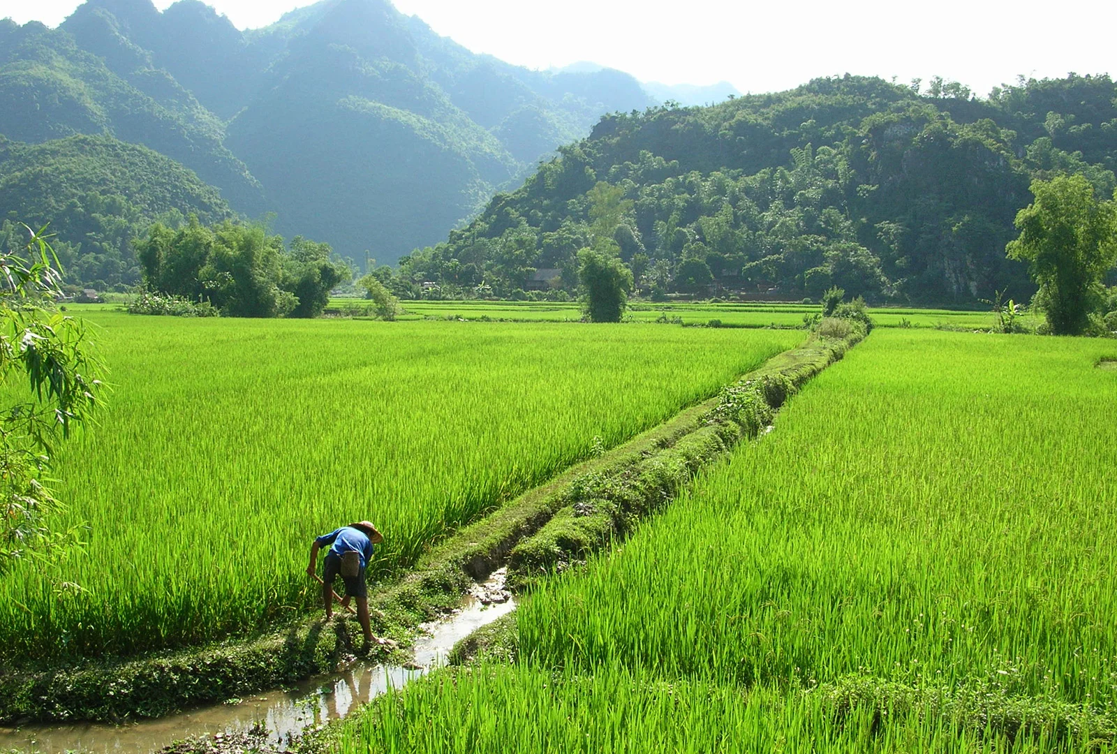 nre-farming-1.jpg