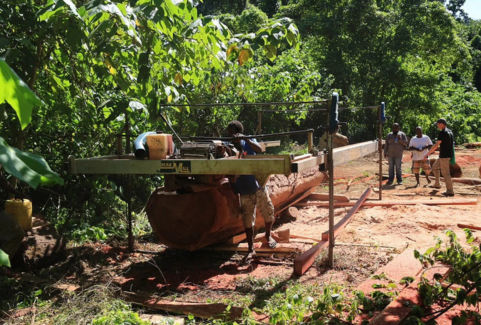 nre-timber-1.jpg