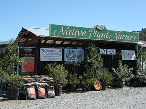 CALIFORNIA NATIVE LANDSCAPES