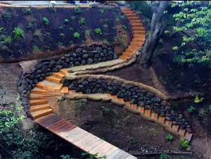 Landscape Design — CALIFORNIA NATIVE LANDSCAPES