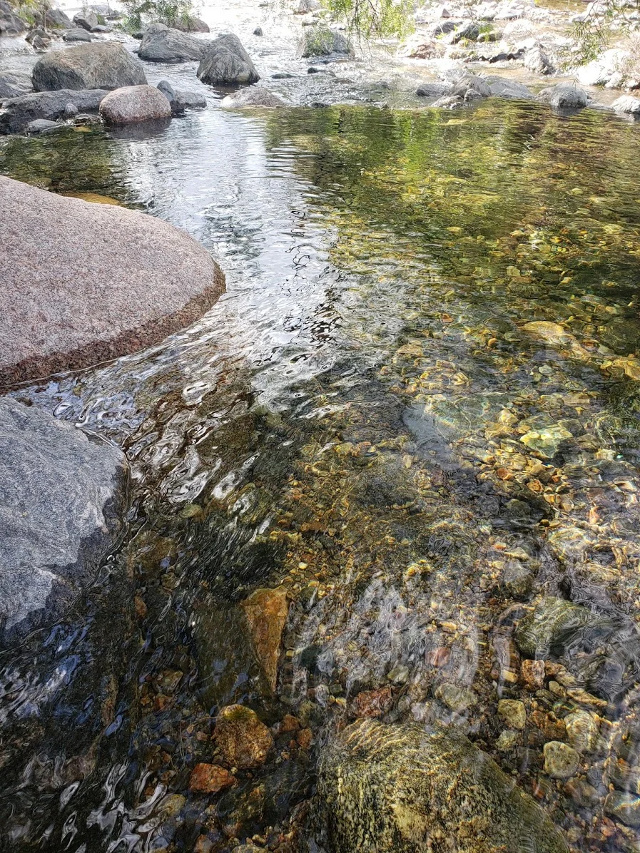 20190313_170039.jpg