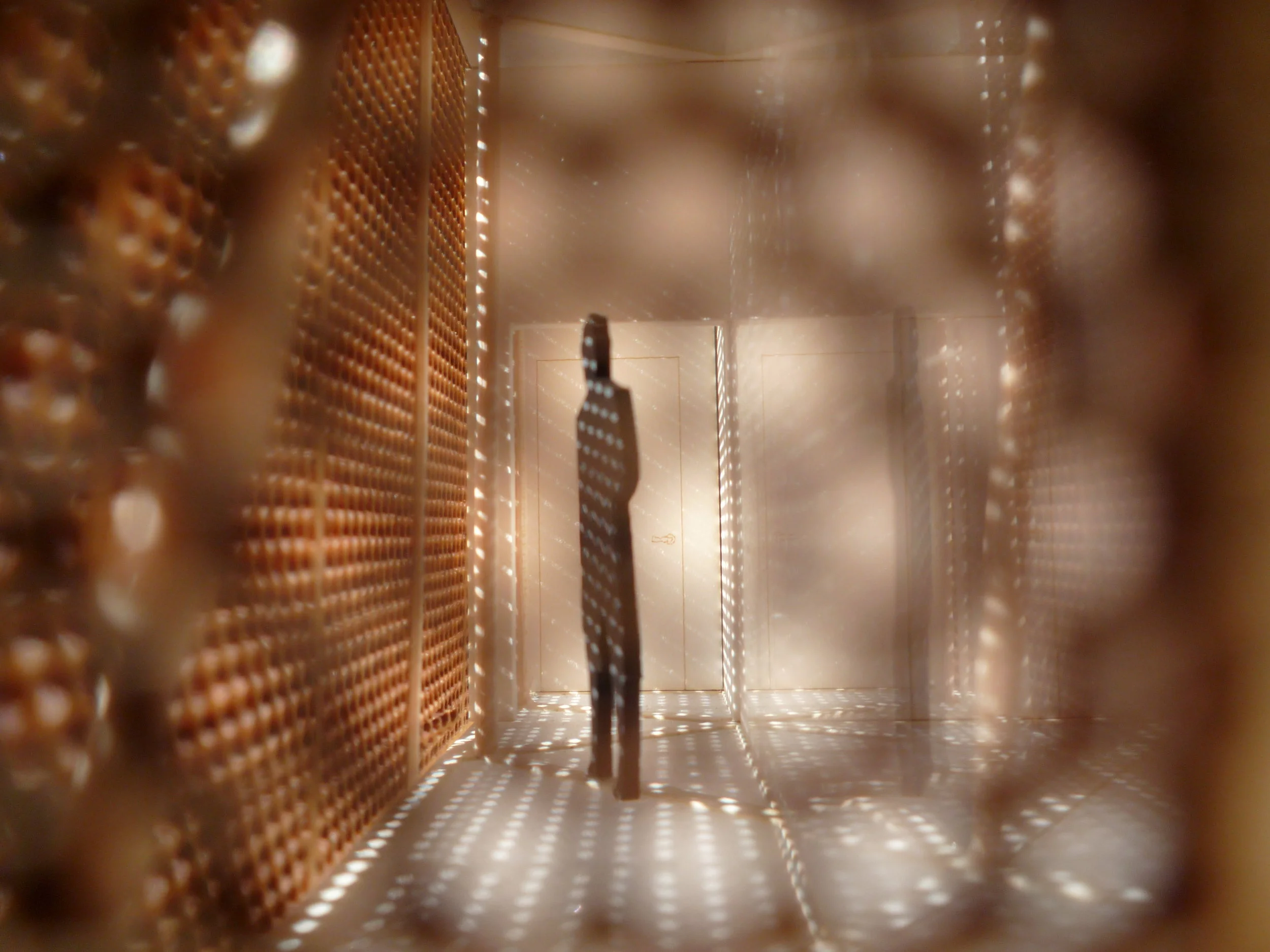 Common_14_Large_Interior_Dappled Light_1.jpg