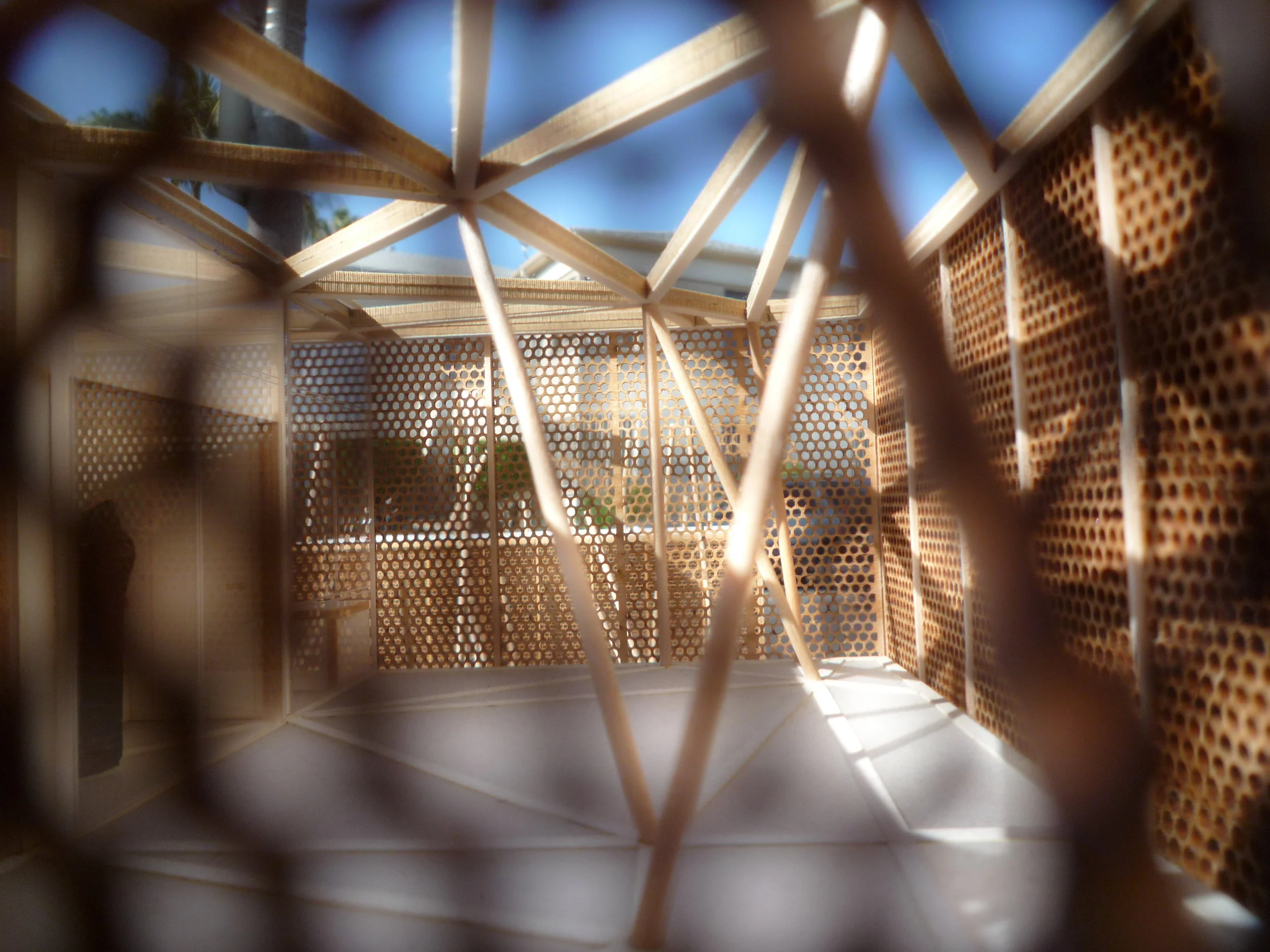 Common_15_Large_Interior_Dappled Light_2.JPG