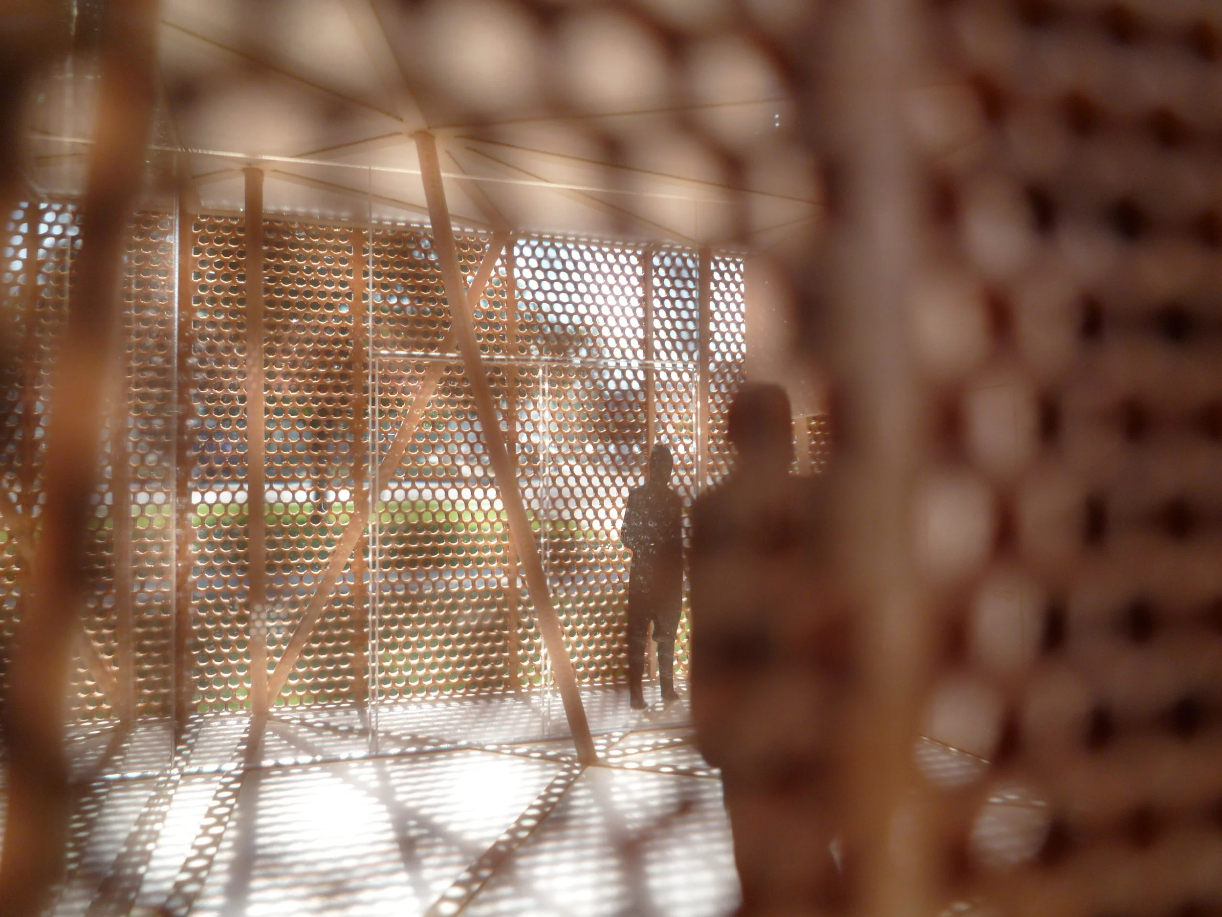 Common_16_Large_Interior_Dappled Light_3.JPG