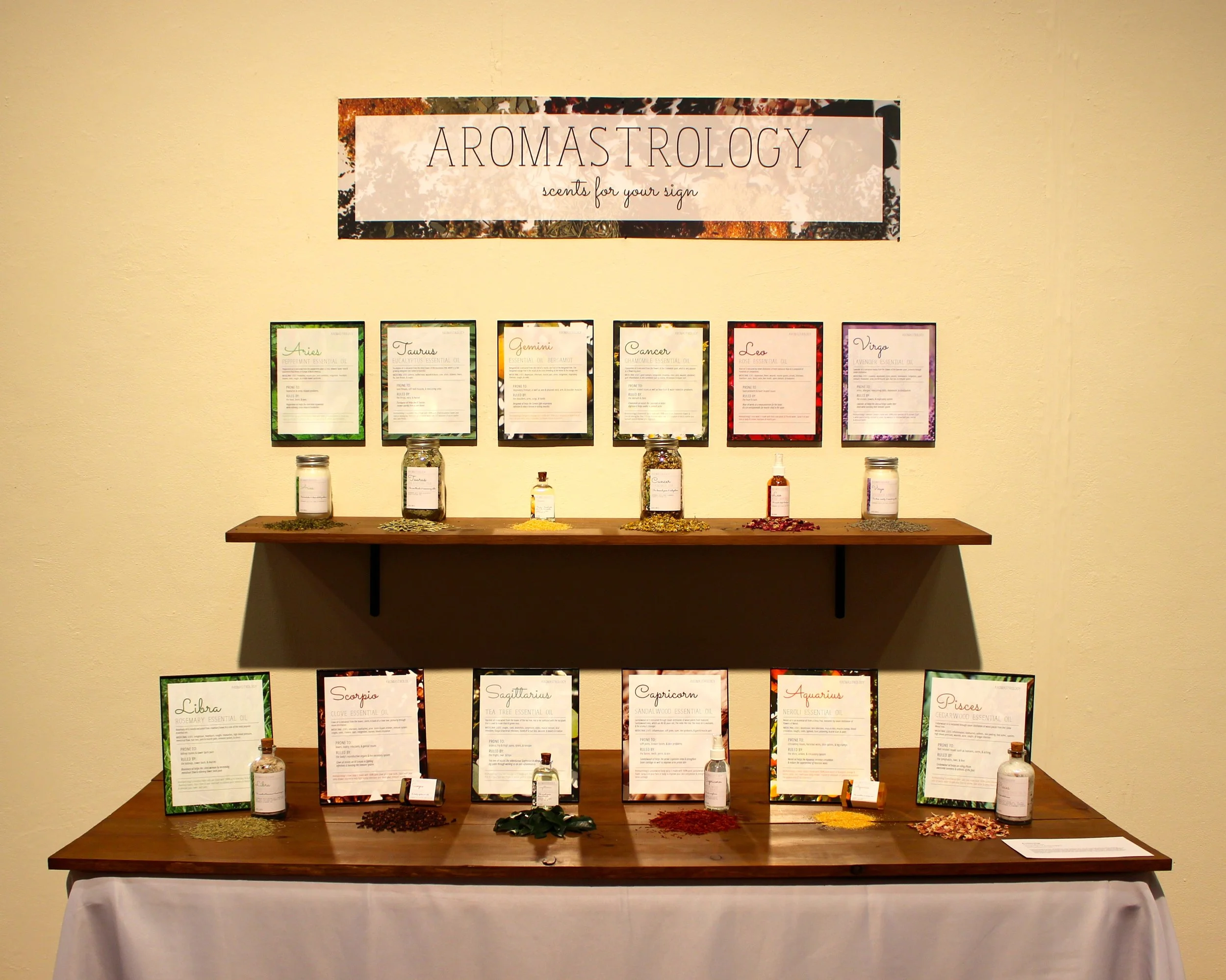 Senior Thesis Project - Exhibition Display