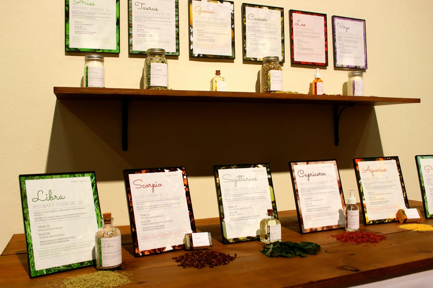 Senior Thesis Project - Exhibition Display