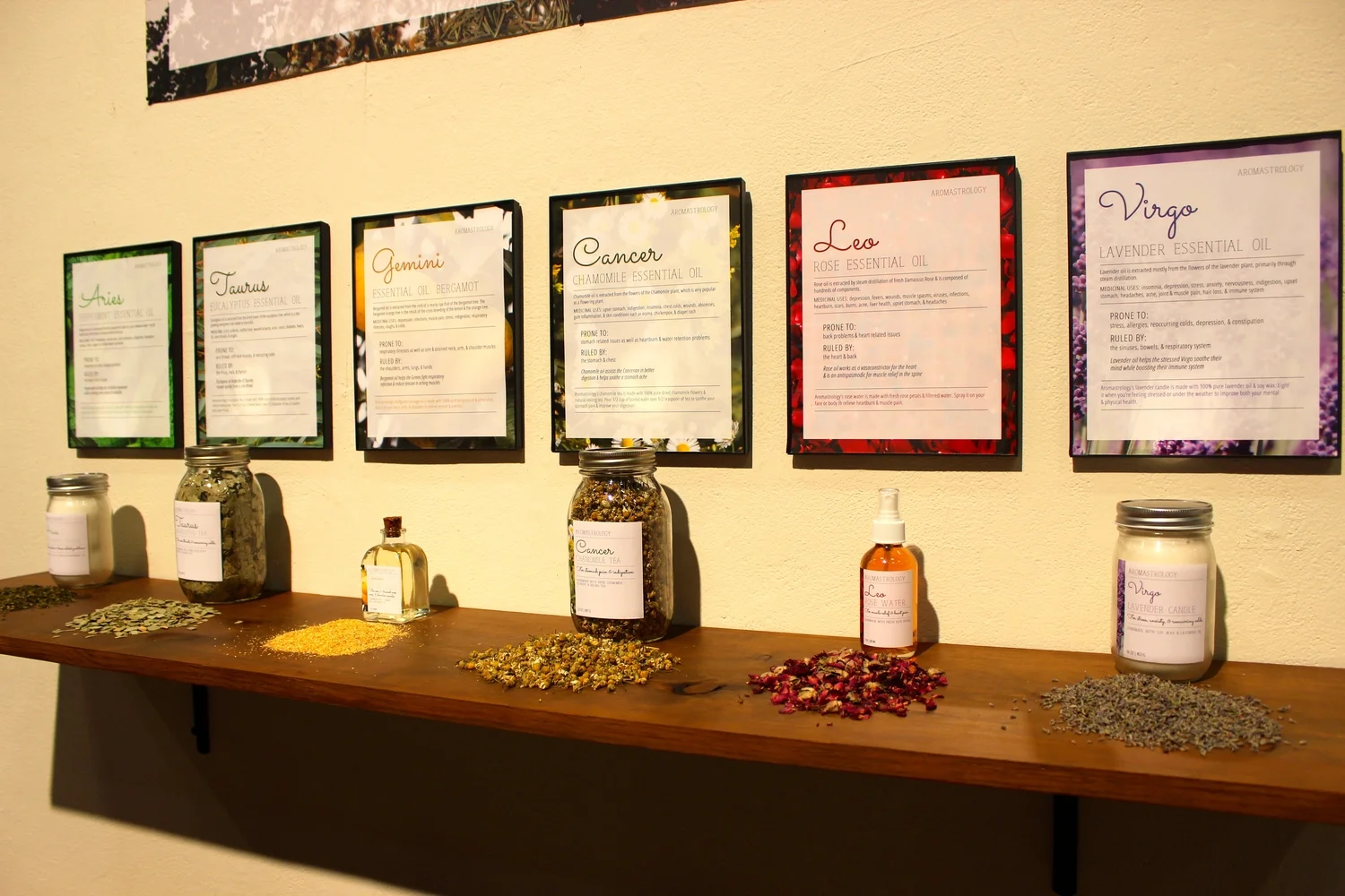 Senior Thesis Project - Exhibition Display