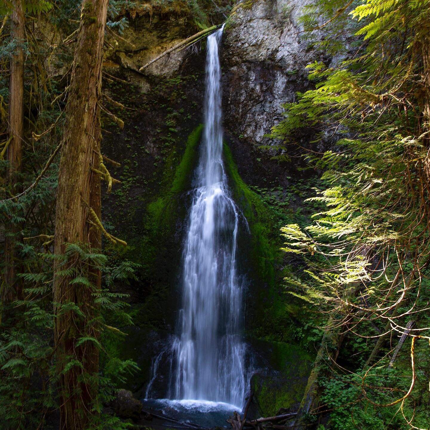 Rivendell
-
#waterfalls #waterfallsofinstagram #travelphotography #pnw #pnwonderland #marymerefalls