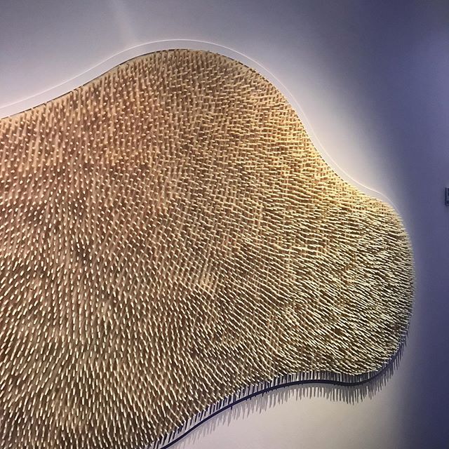 A replica of the small intestinal lining responsible for absorbing many of the vitamins and minerals from our food! This installation was on display at the Gut Feelings exhibition at Melbourne Museum 2019.