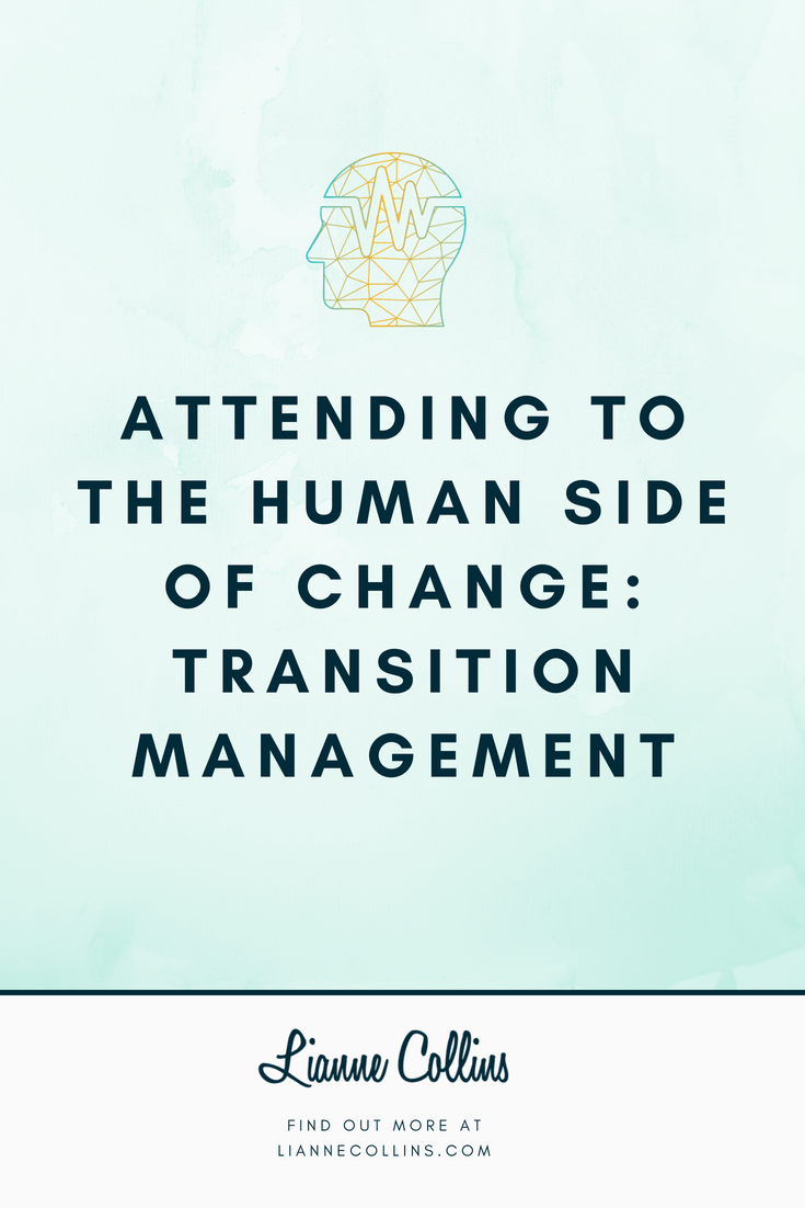 Attending to the Human Side of Change: Transition Management