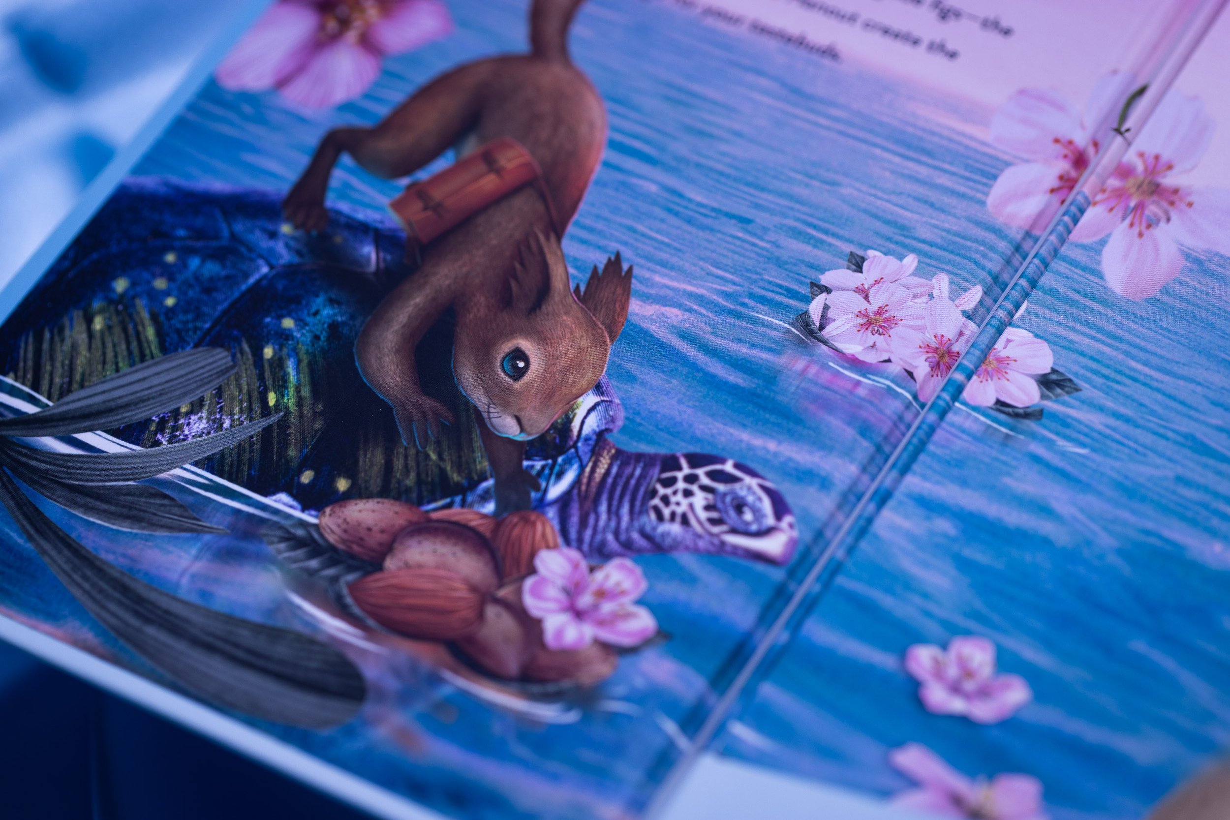 Squirrel-Influencer-Kit-0618.jpg