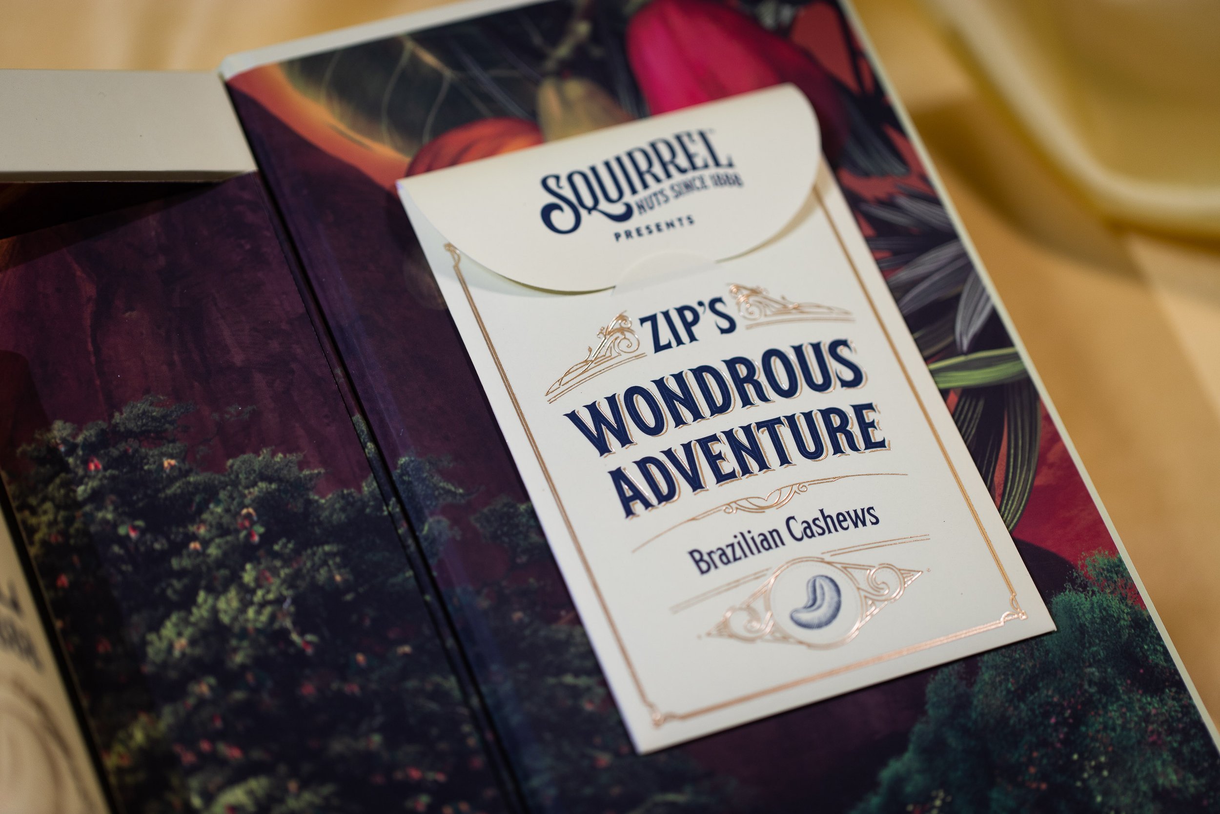 Squirrel-Influencer-Kit-0454.jpg
